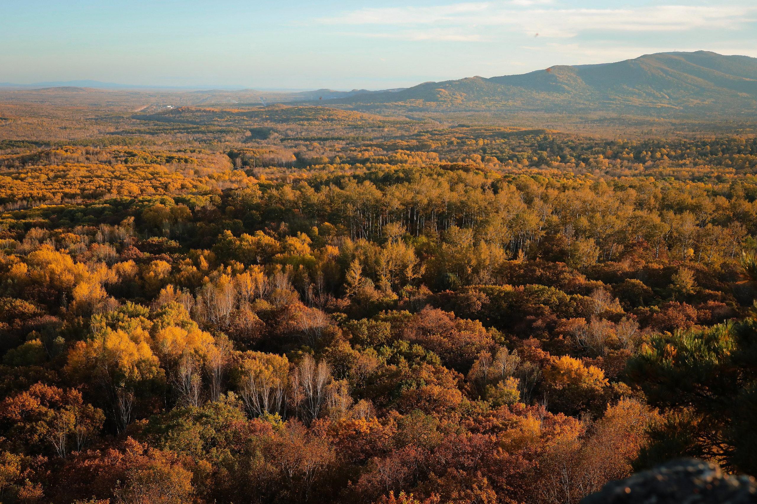 На Змеиной горе. Фотограф г. Хабаровск. Семейные и индивидуальные съёмки