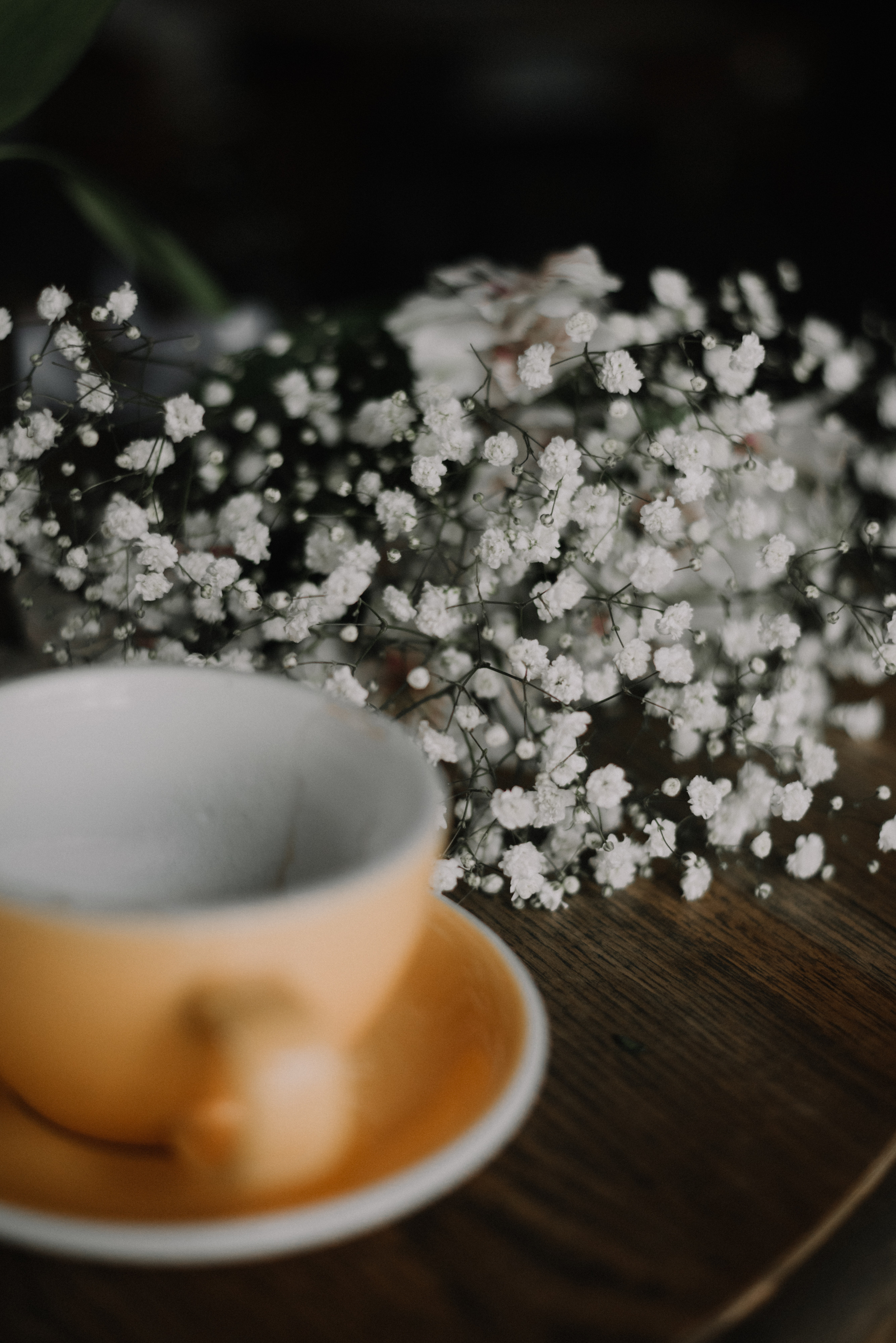 Весны центробежная сила…. Свадебный и семейный фотограф | Слоним, Гродно| Варя Режа́бек