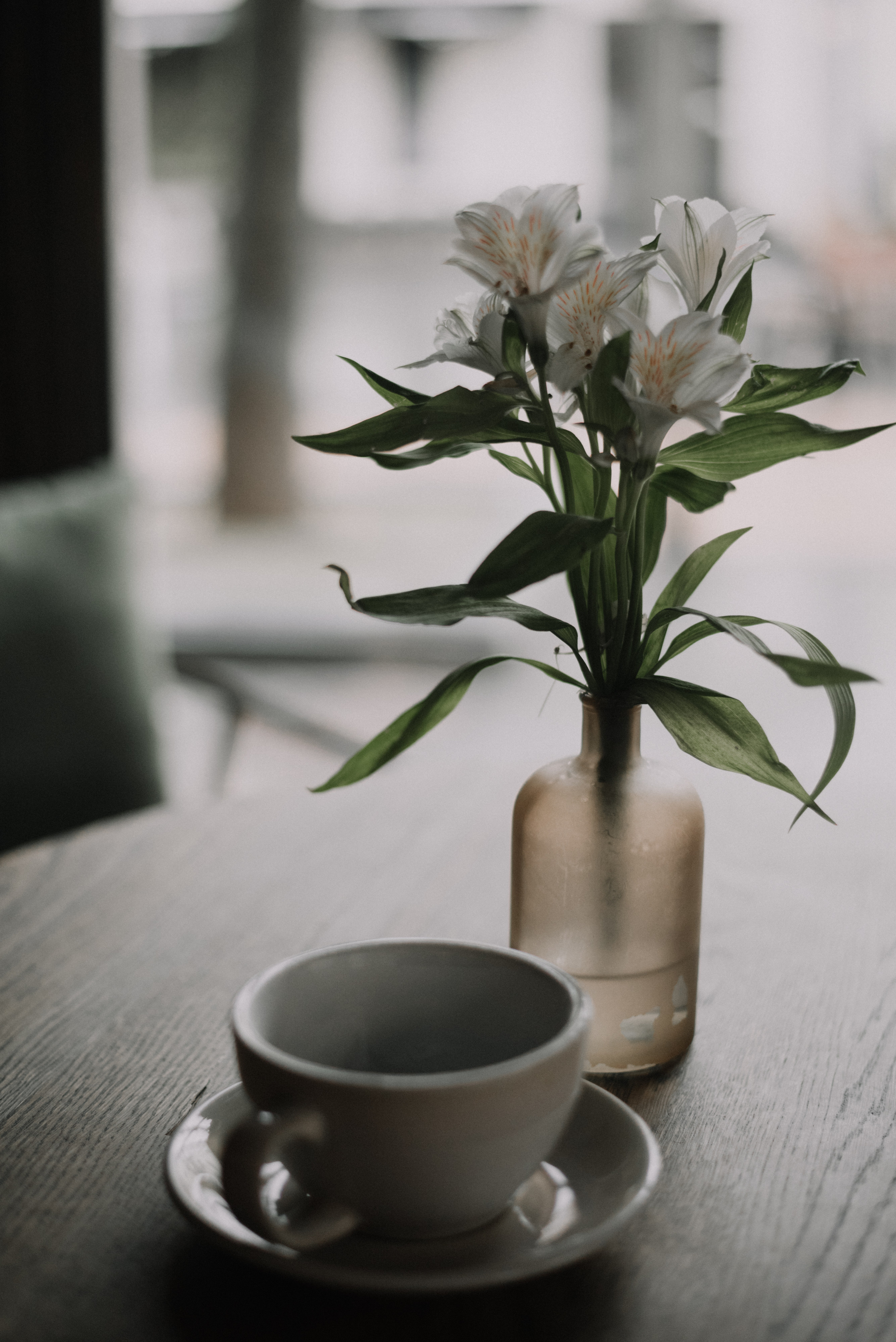 Весны центробежная сила…. Свадебный и семейный фотограф | Слоним, Гродно| Варя Режа́бек