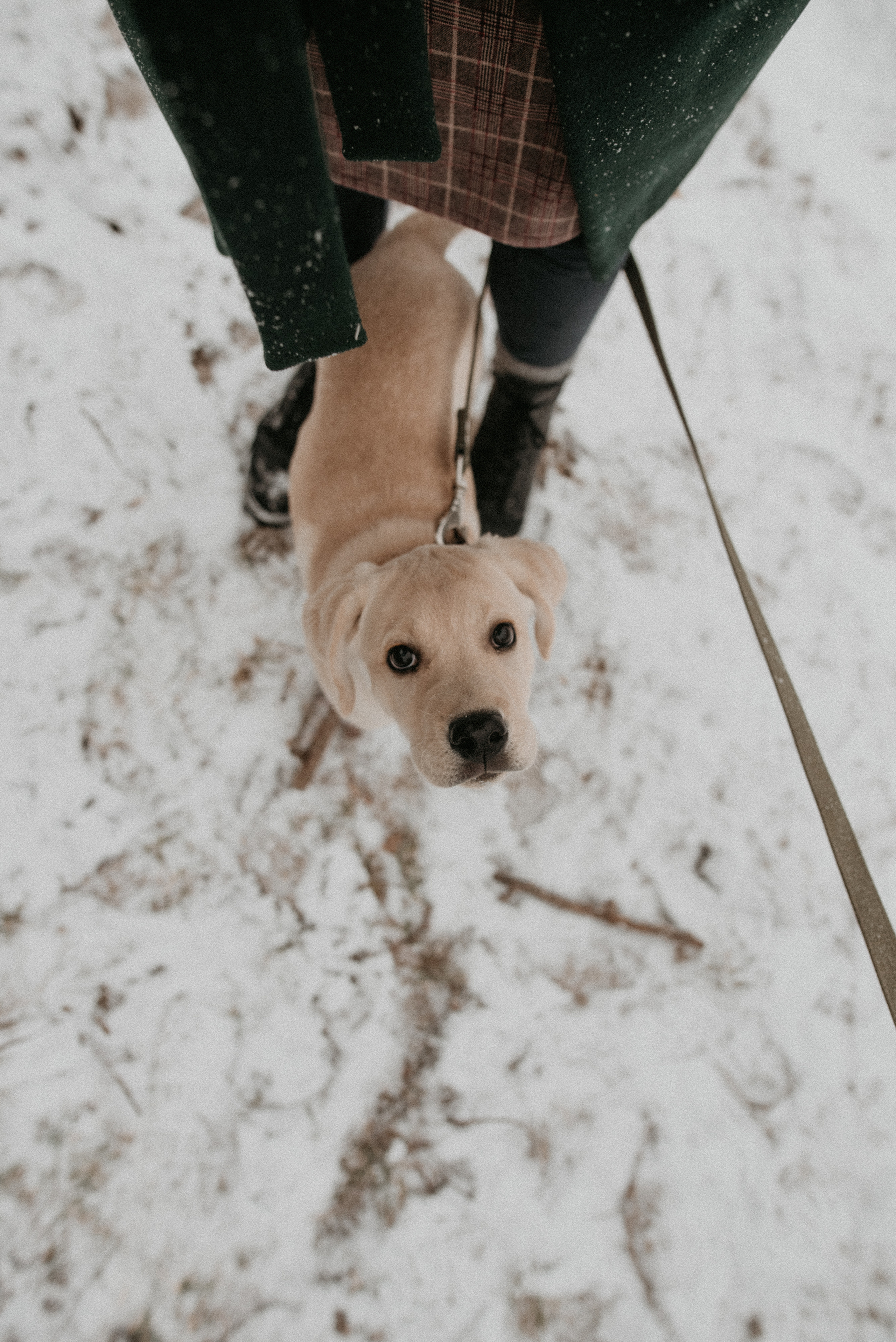 Что зимой бывает…. Свадебный и семейный фотограф | Слоним, Гродно| Варя Режа́бек