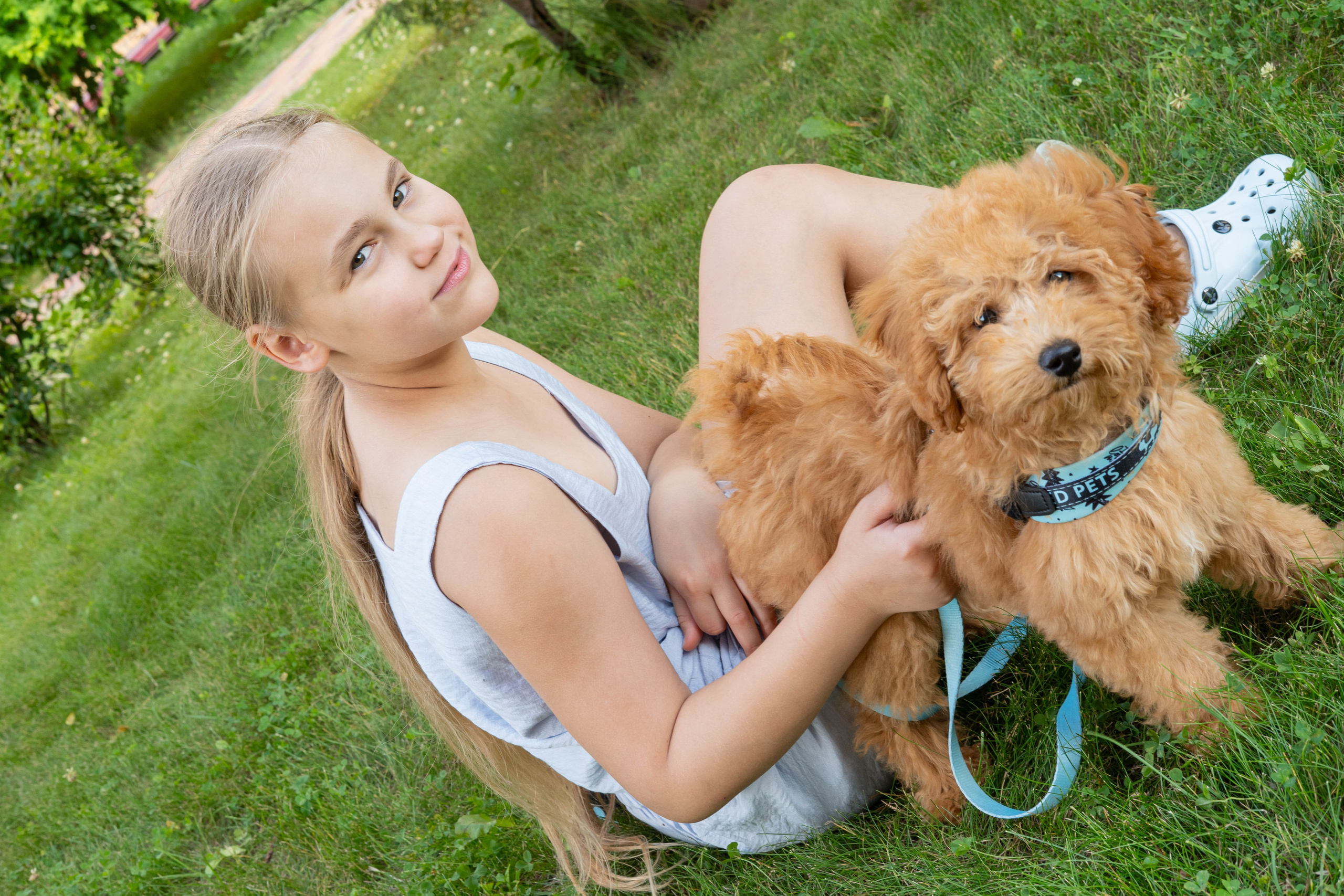 Прогулочная фотосессия Новосибирск Краснообск Love-story  фотосессия Новосибирск Краснообск