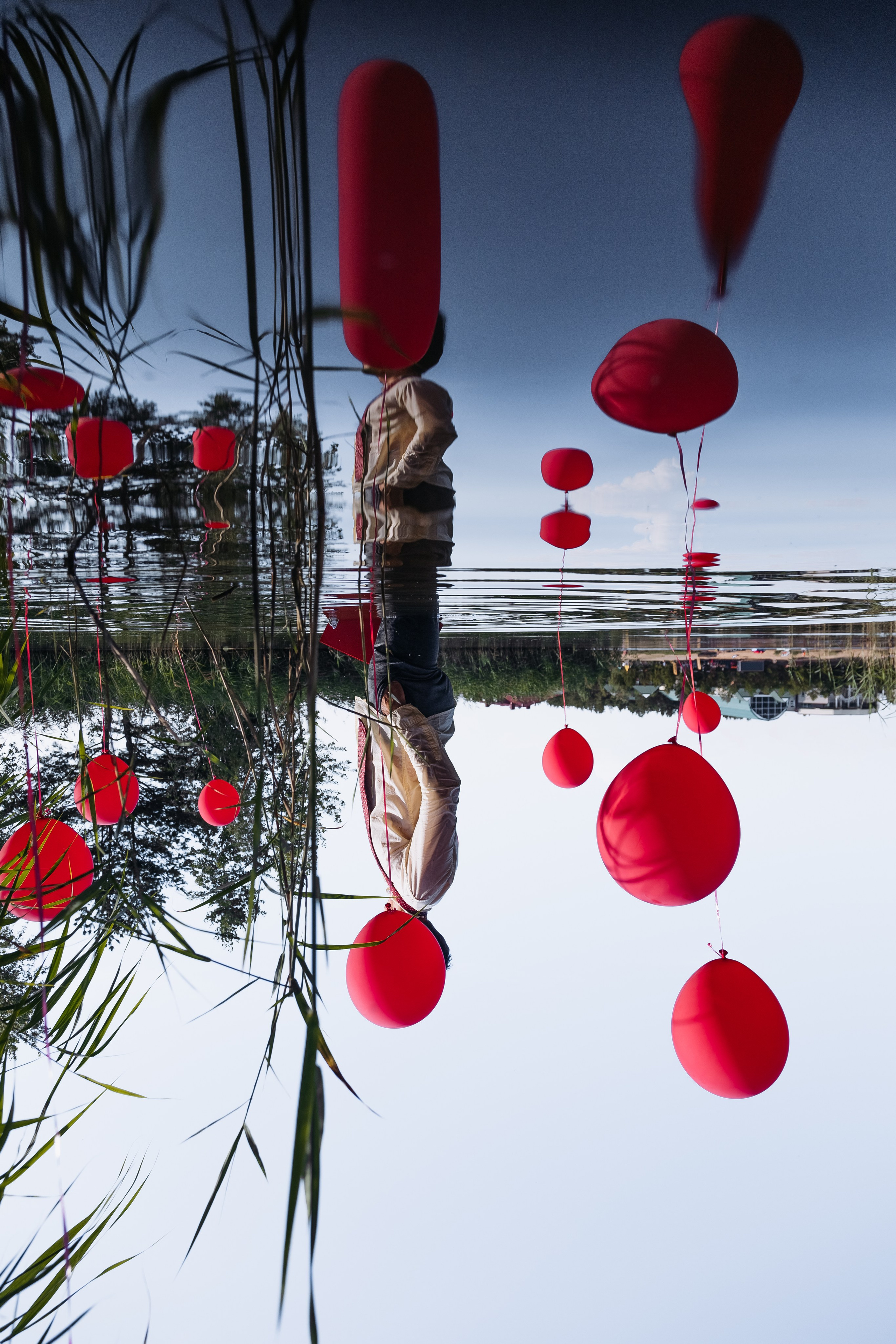 Костя. Romashka photo