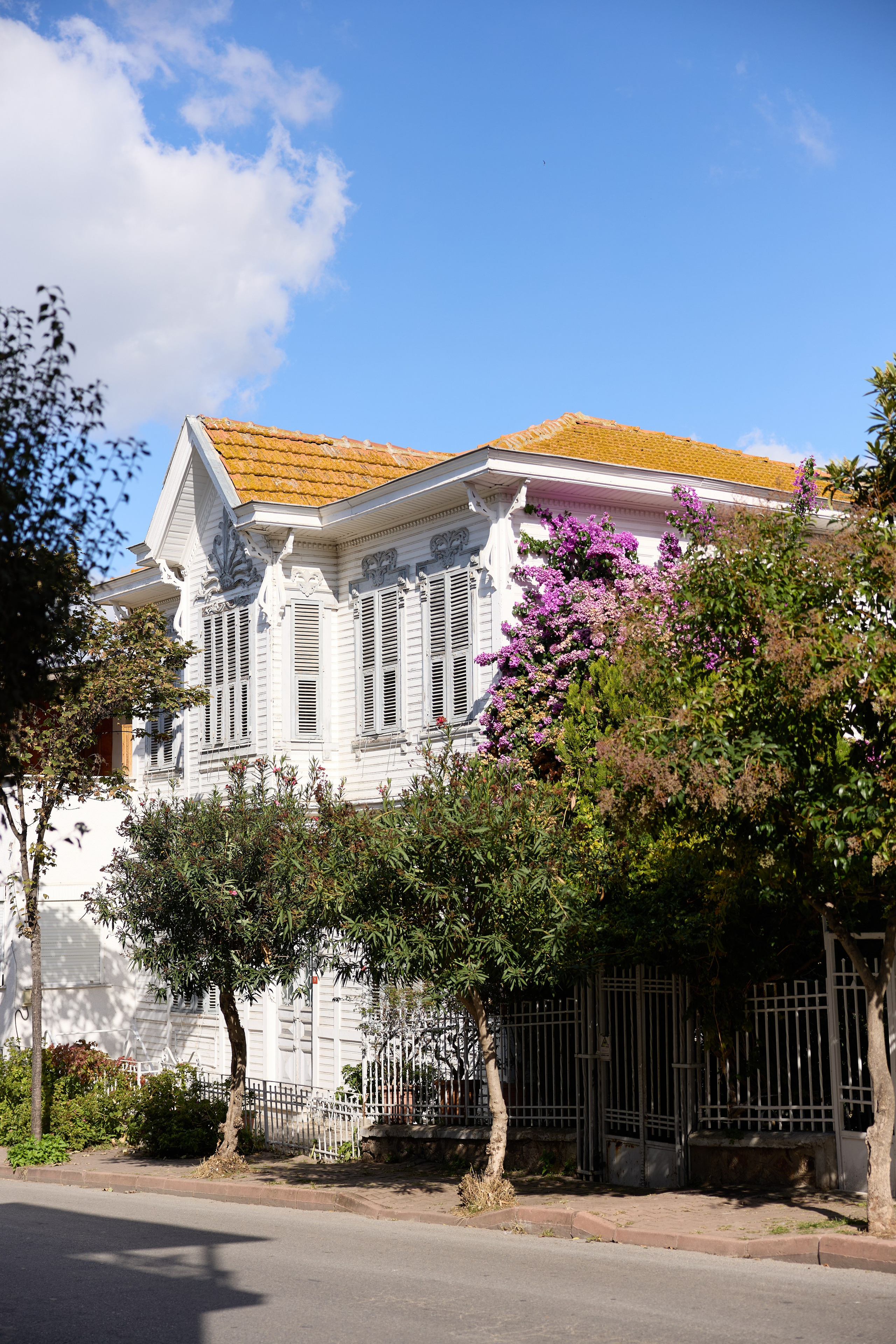 Стамбул 24. Фотограф Москва, Дима Пеллер