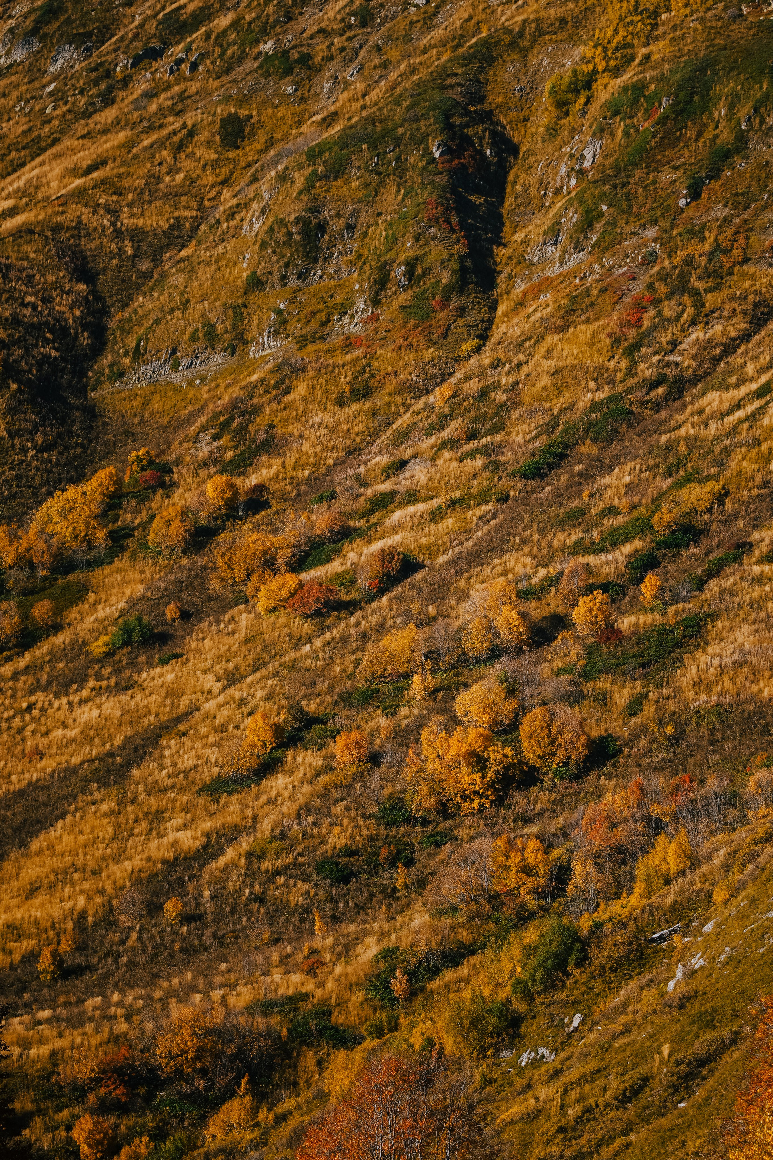Роза Пик, тропа Турья ✽ Октябрь. Репортажный фотограф | Роза Хутор Красная Поляна Сочи Сириус