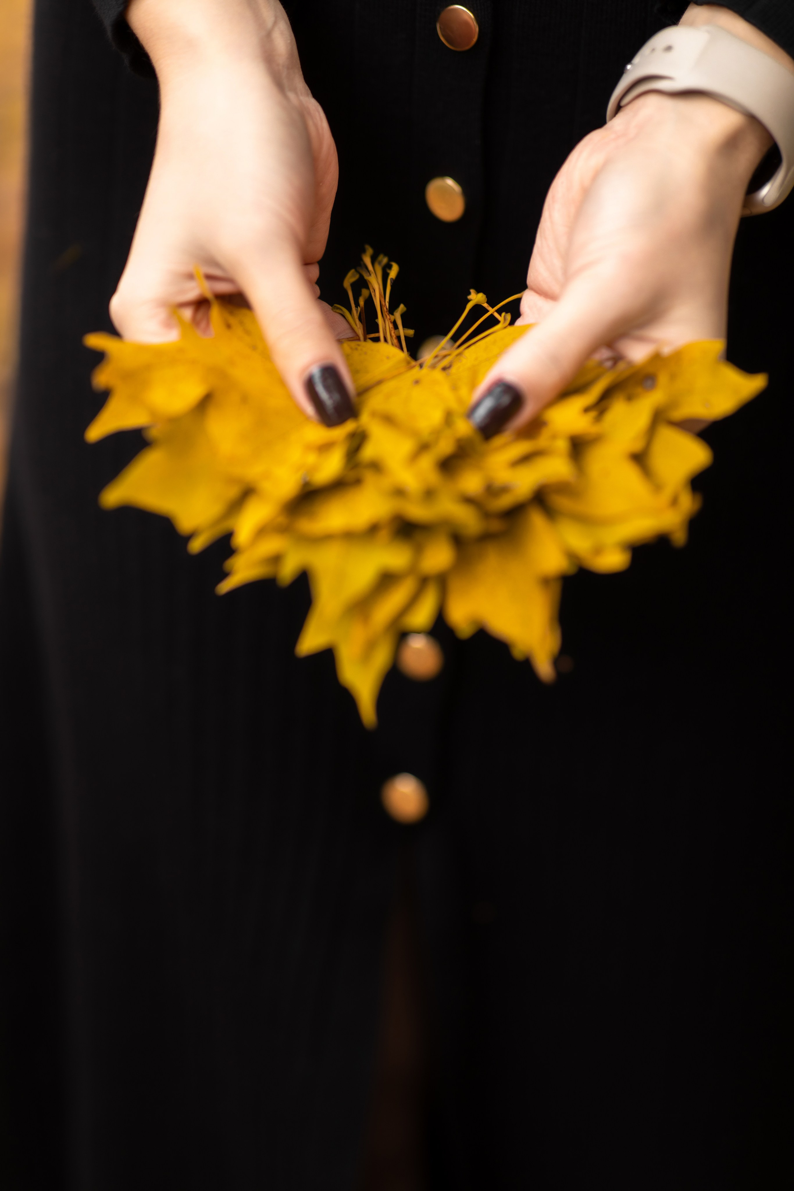 Индивидуальная фотосессия в Фиагдоне. Фотограф во Владикавказе Юрий Геворгизов