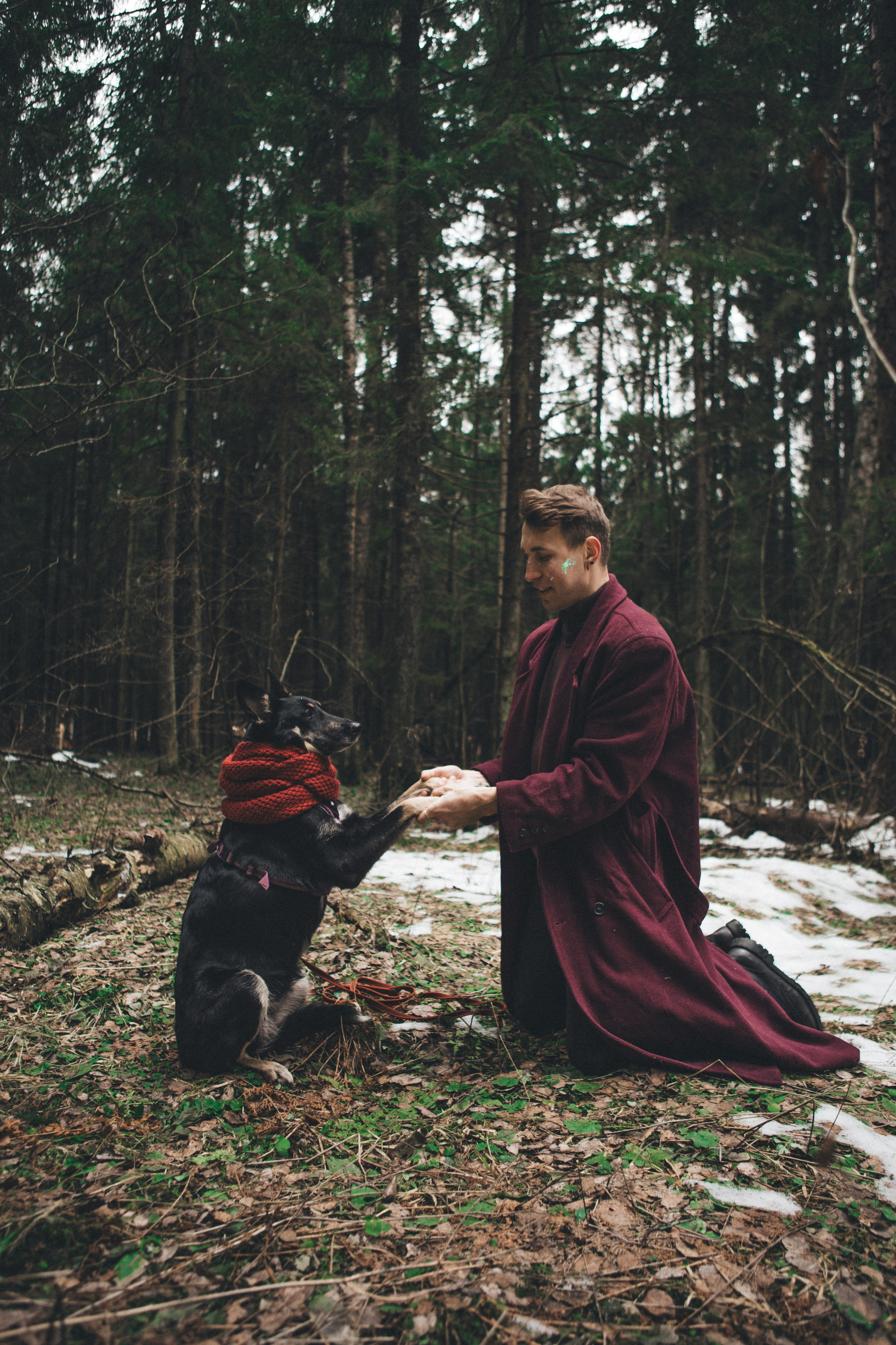 A cinematic tale of true love and unbreakable friendship between a man and a dog. Portrait, family and pet photographer in Cyprus, Ksenia Bourdelle