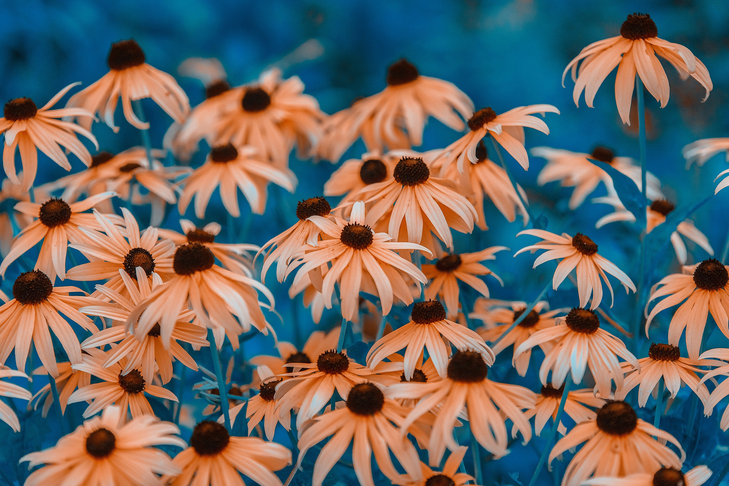 Наша мать — природа. Фотограф Владимир Артамонов