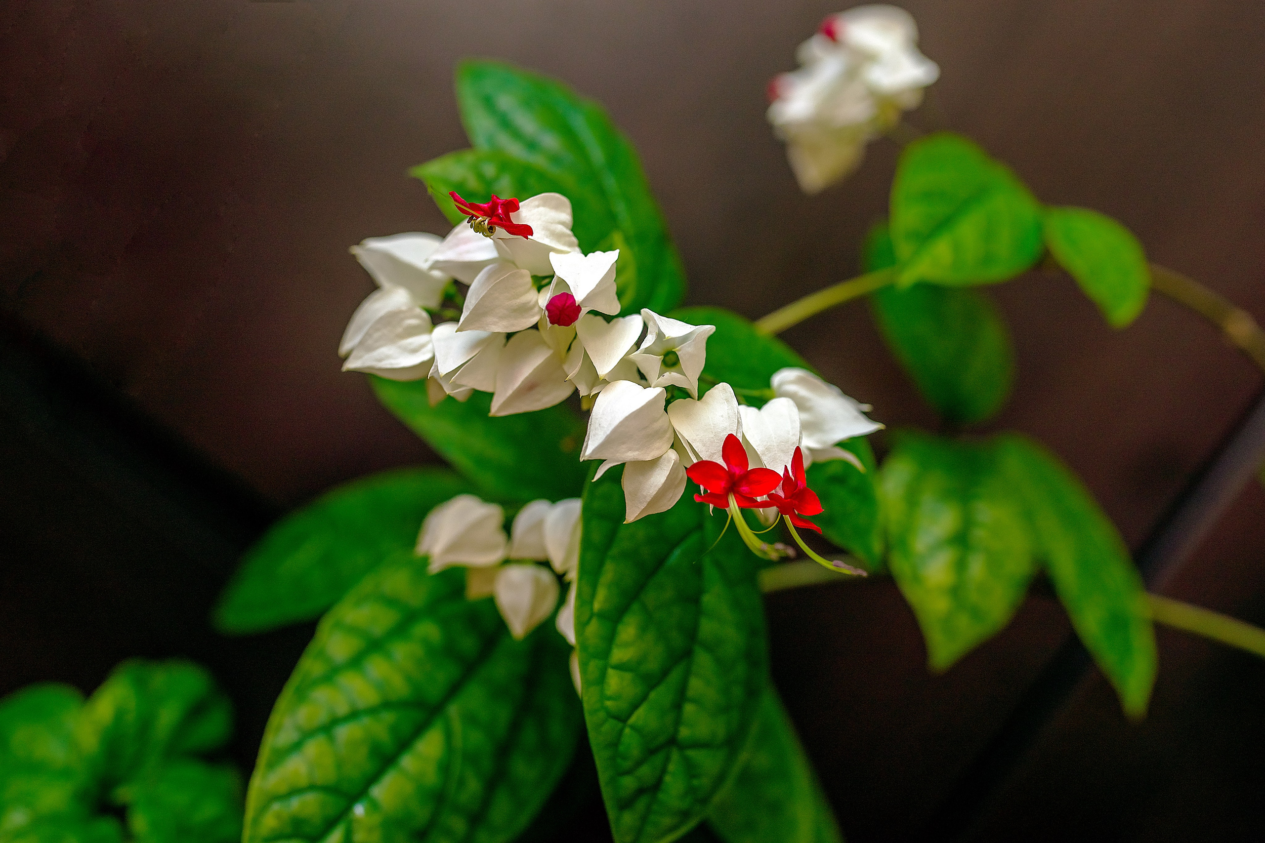 Наша мать — природа. Фотограф Владимир Артамонов