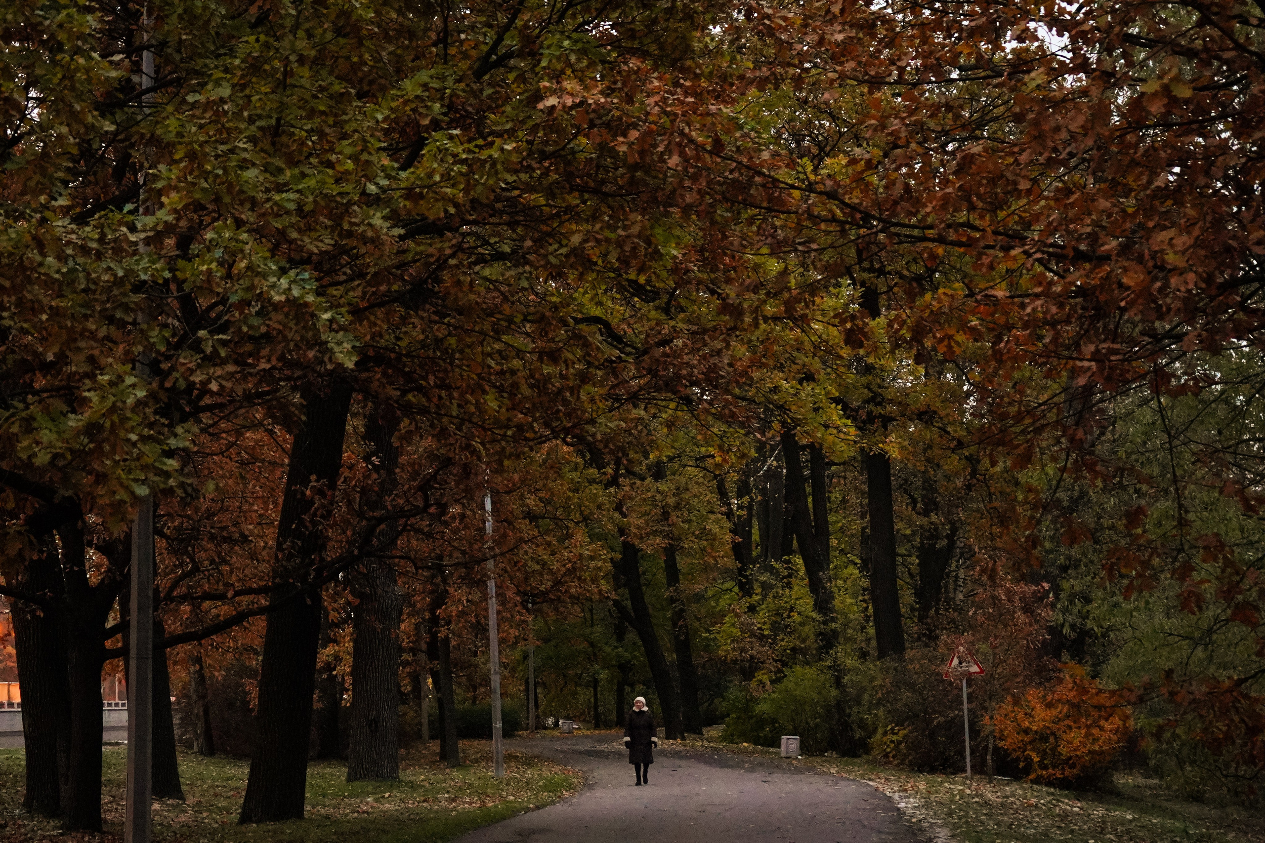 Разное. Фотограф в Санкт-Петербурге Виктория Барышникова