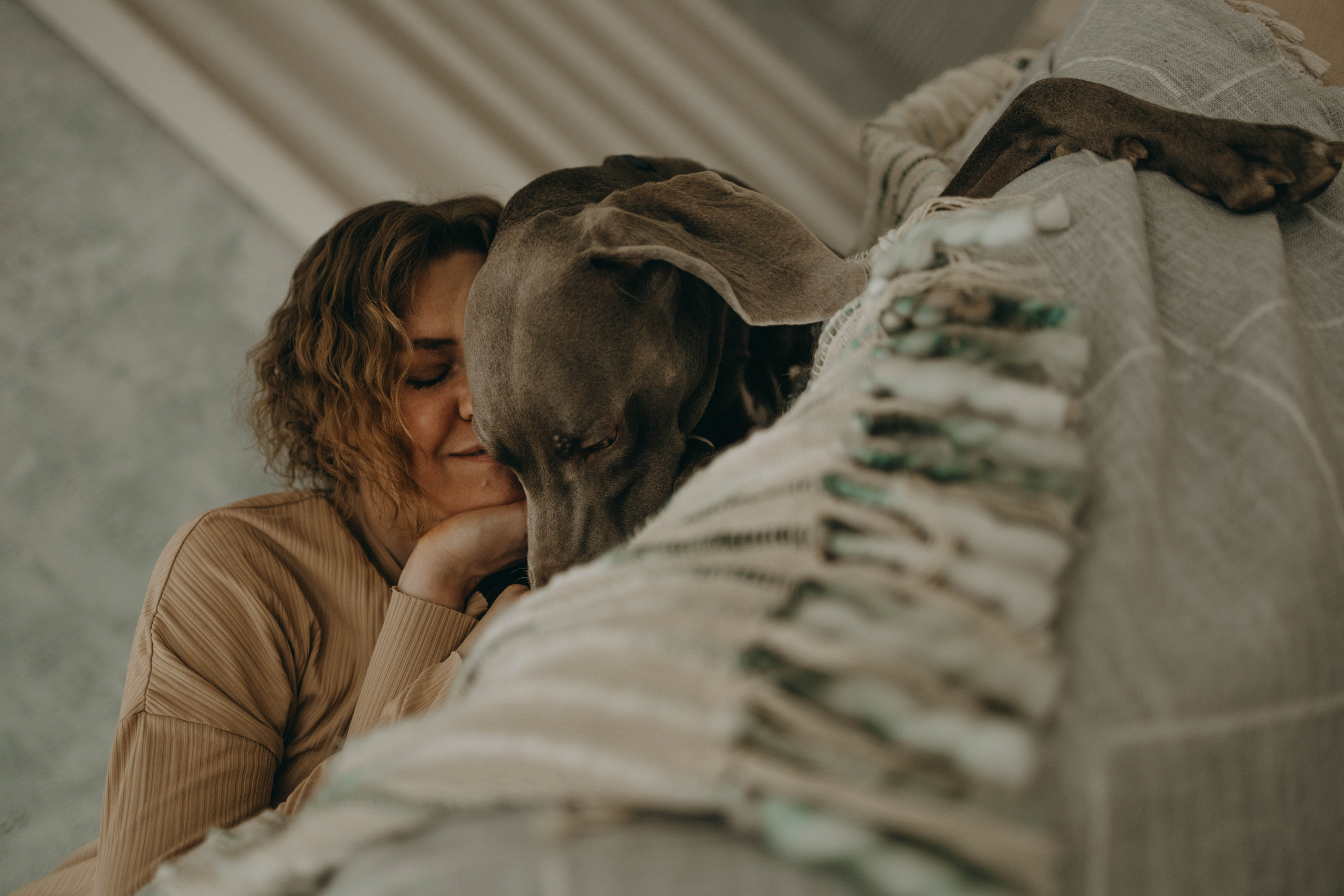 Фотосессия в студии с собакой. Фотограф-анималист в Екатеринбурге | Кристина