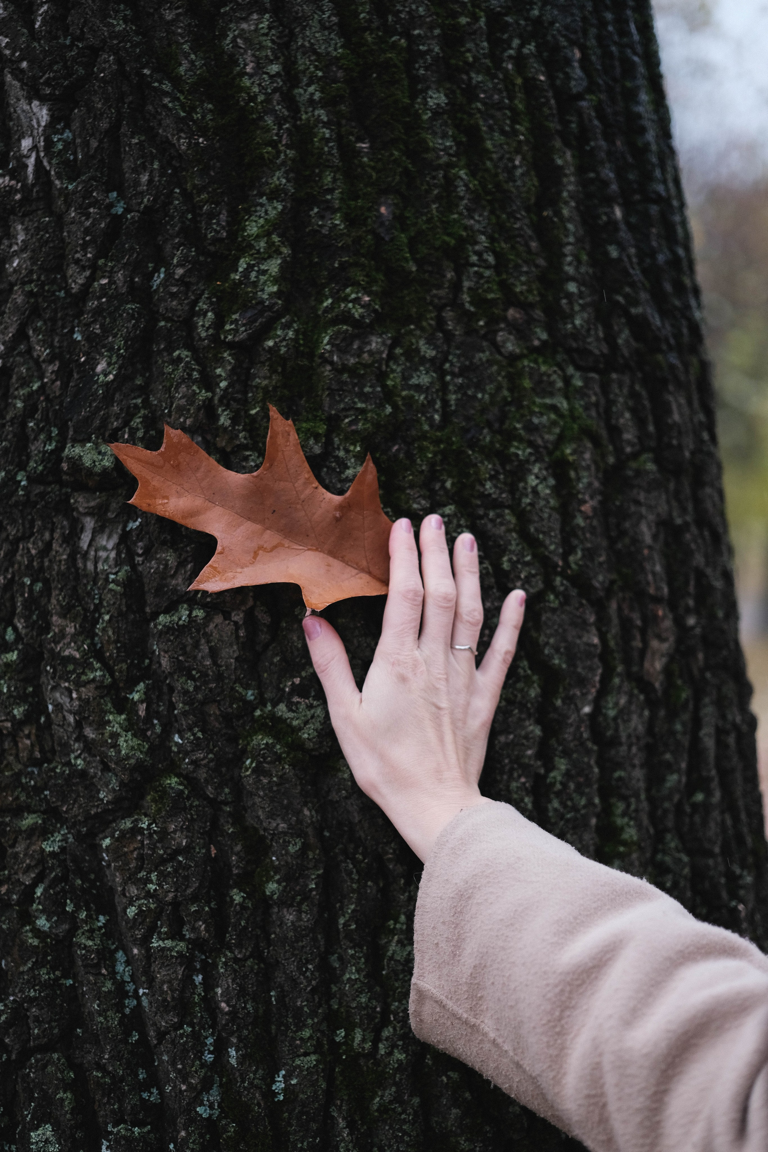 Светлана. Портретный фотограф в Москве Таня Майорова