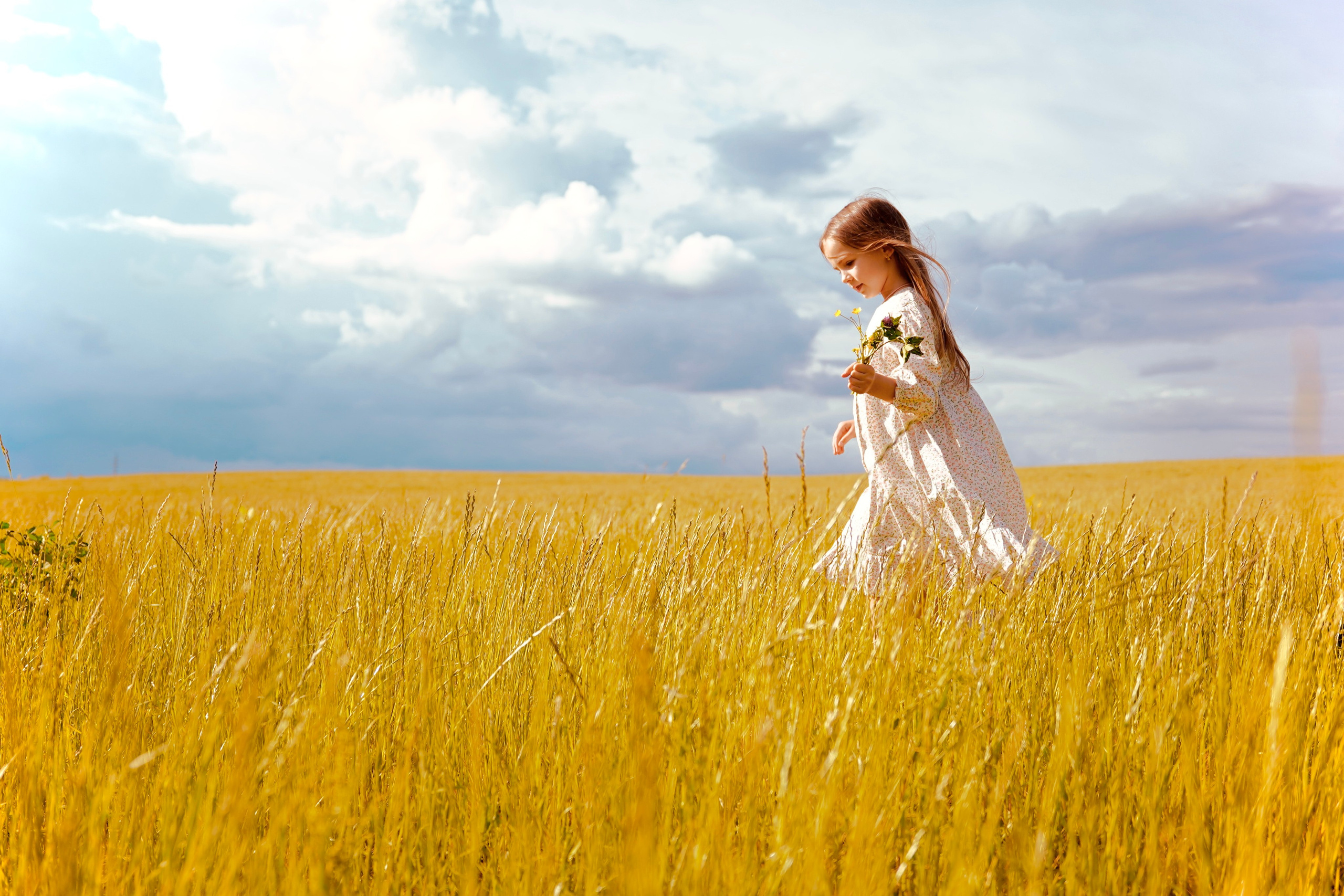 Лето в поле. Семейный и детский фотограф Александра Гвоздикова