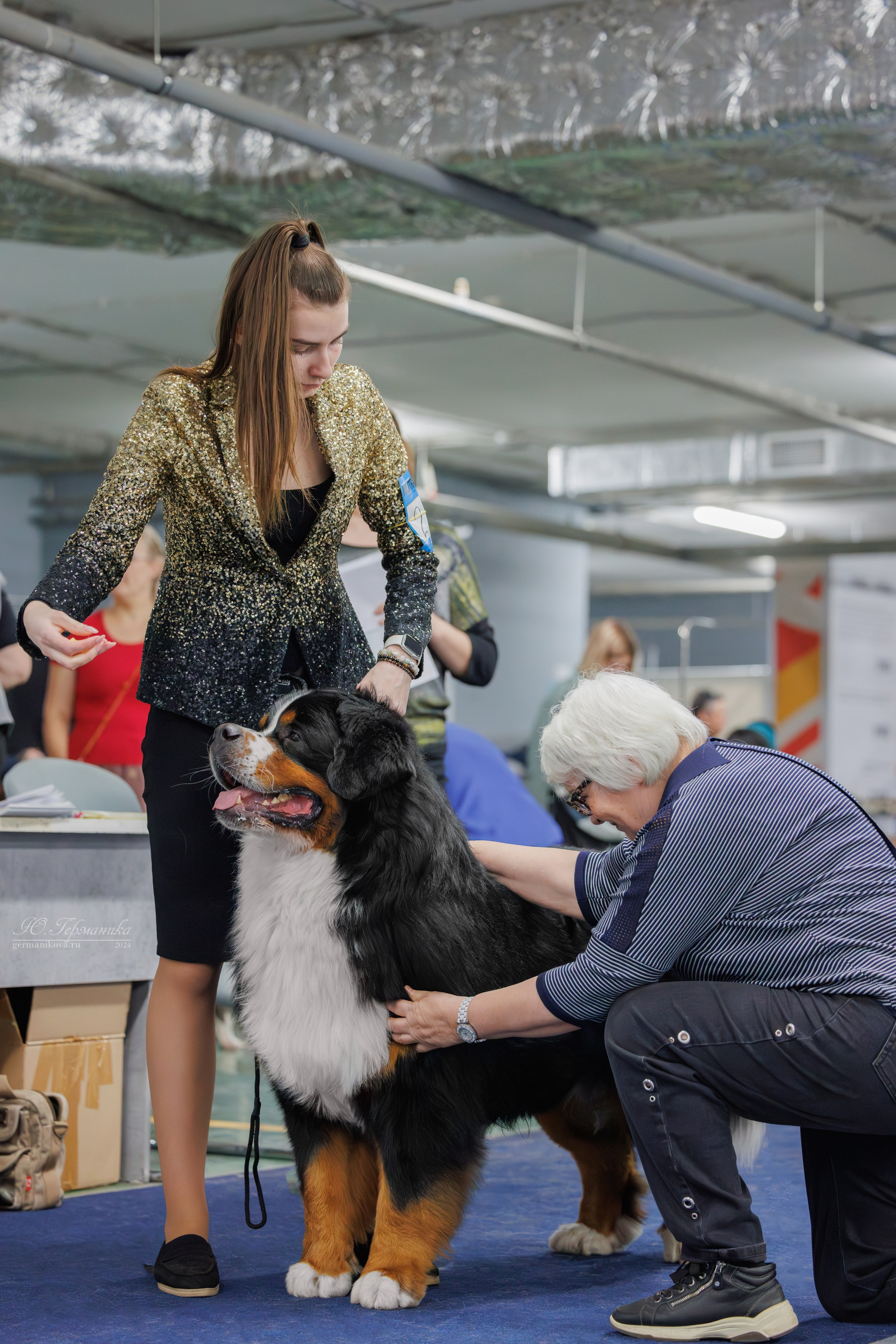 Сфера и Крокус 8,9,16 и 30.03.2025. Фотограф-анималист Юлия Германика