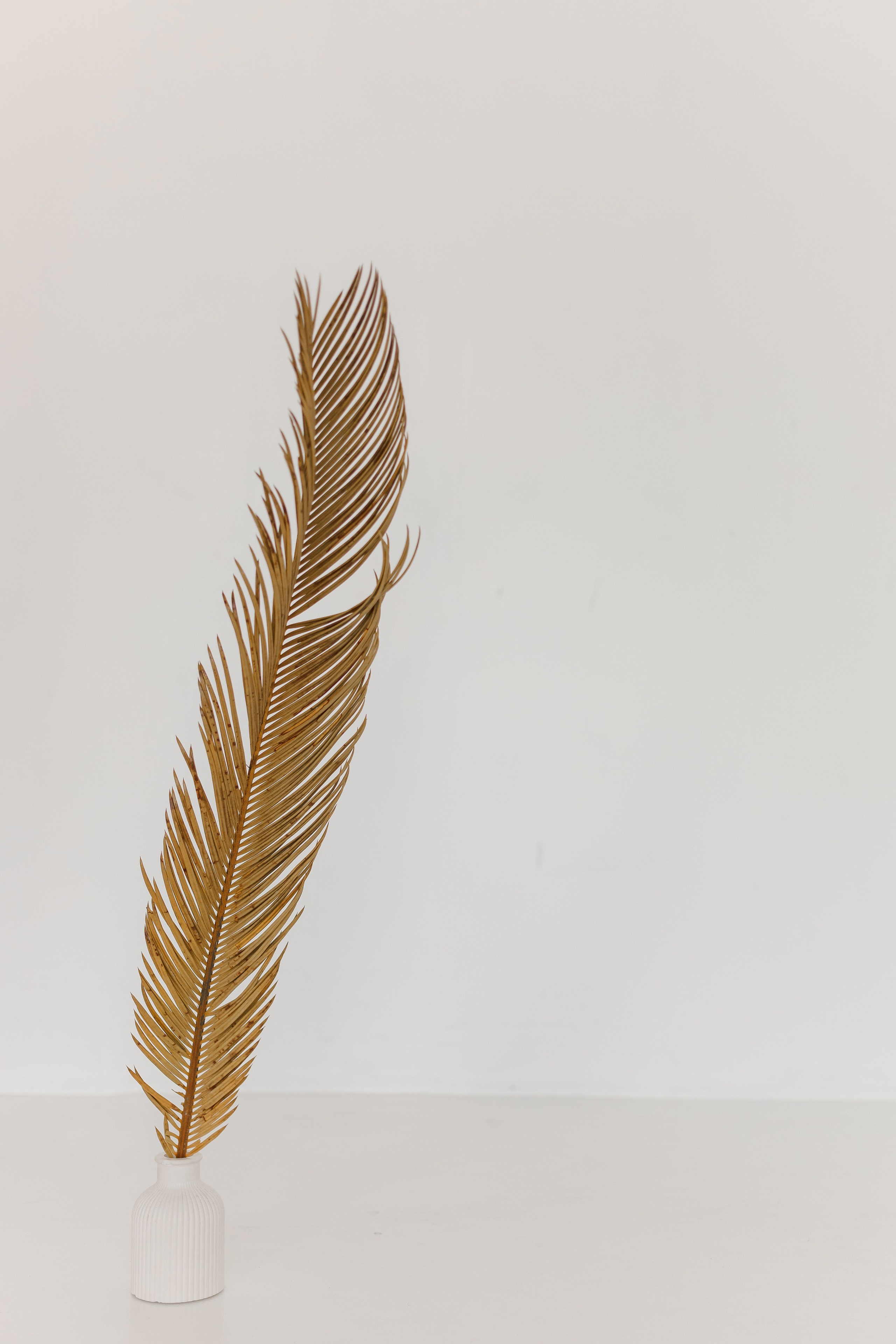 Фотосессия для остеопата и кинезиолога | Контент-фотограф Анна Островская. КОНТЕНТ ФОТОГРАФ