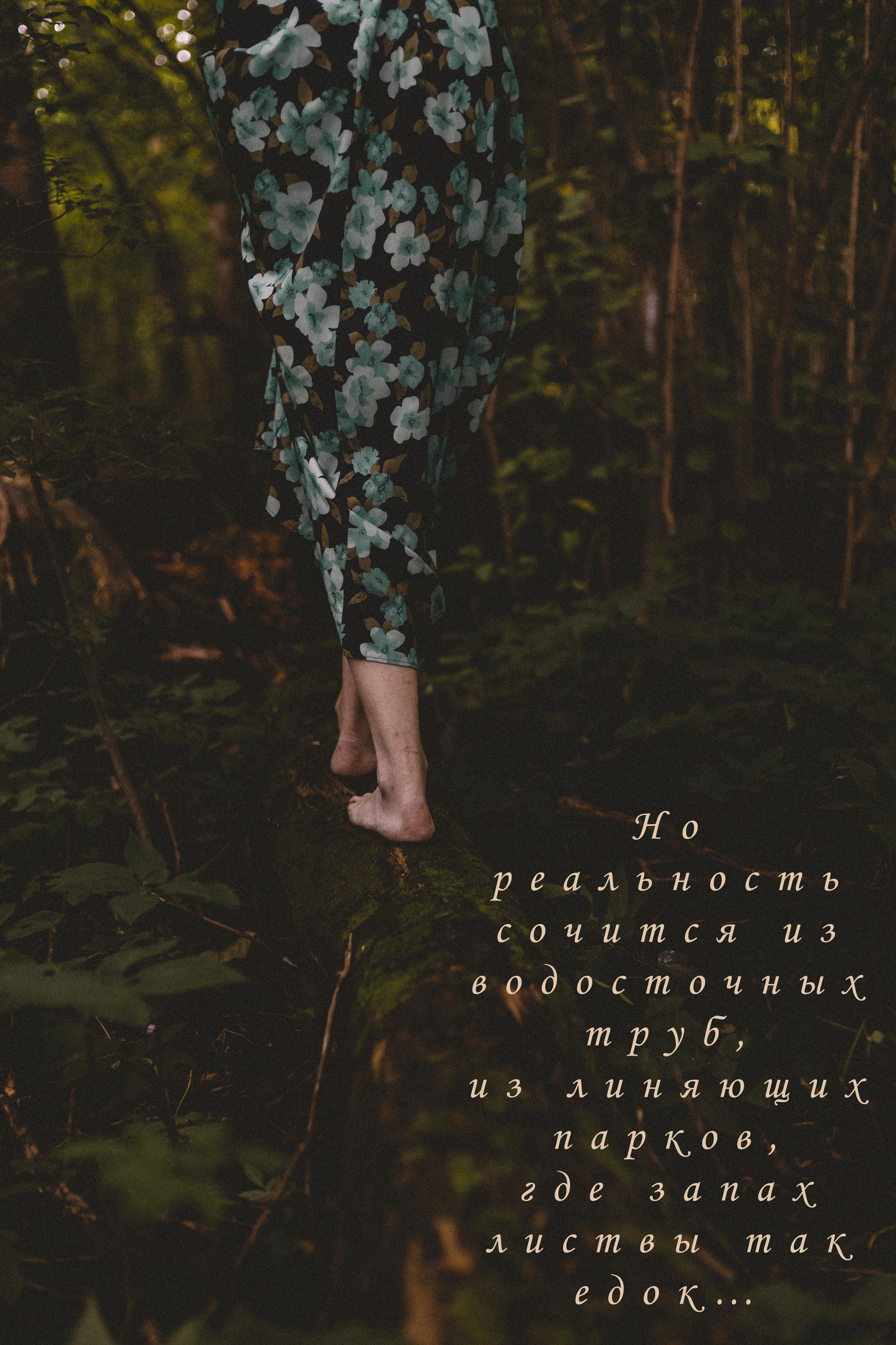 Август. Портфолио