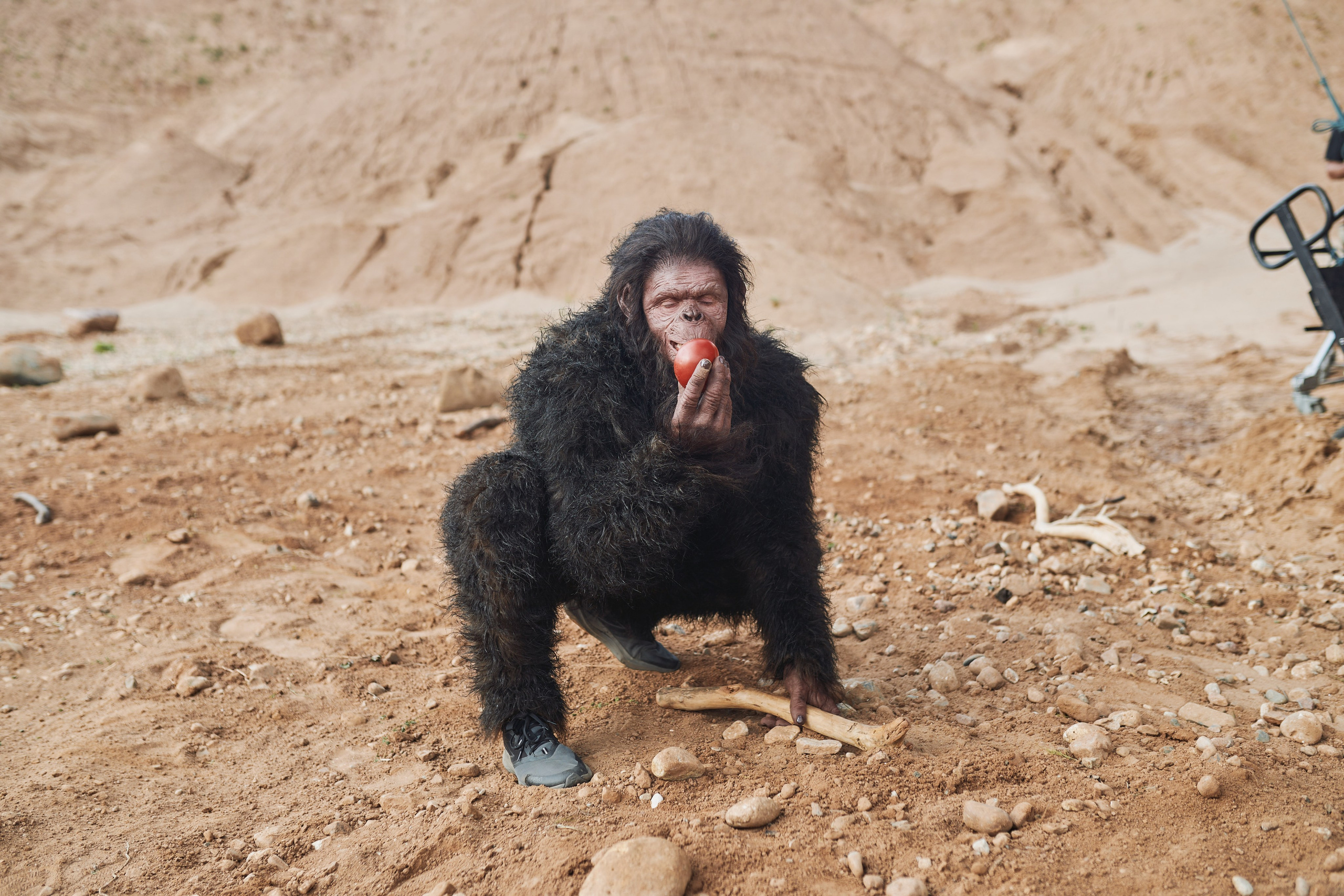 Эко культура. Евгений Бреча. Коммерческий и бэкстейдж фотограф в Москве