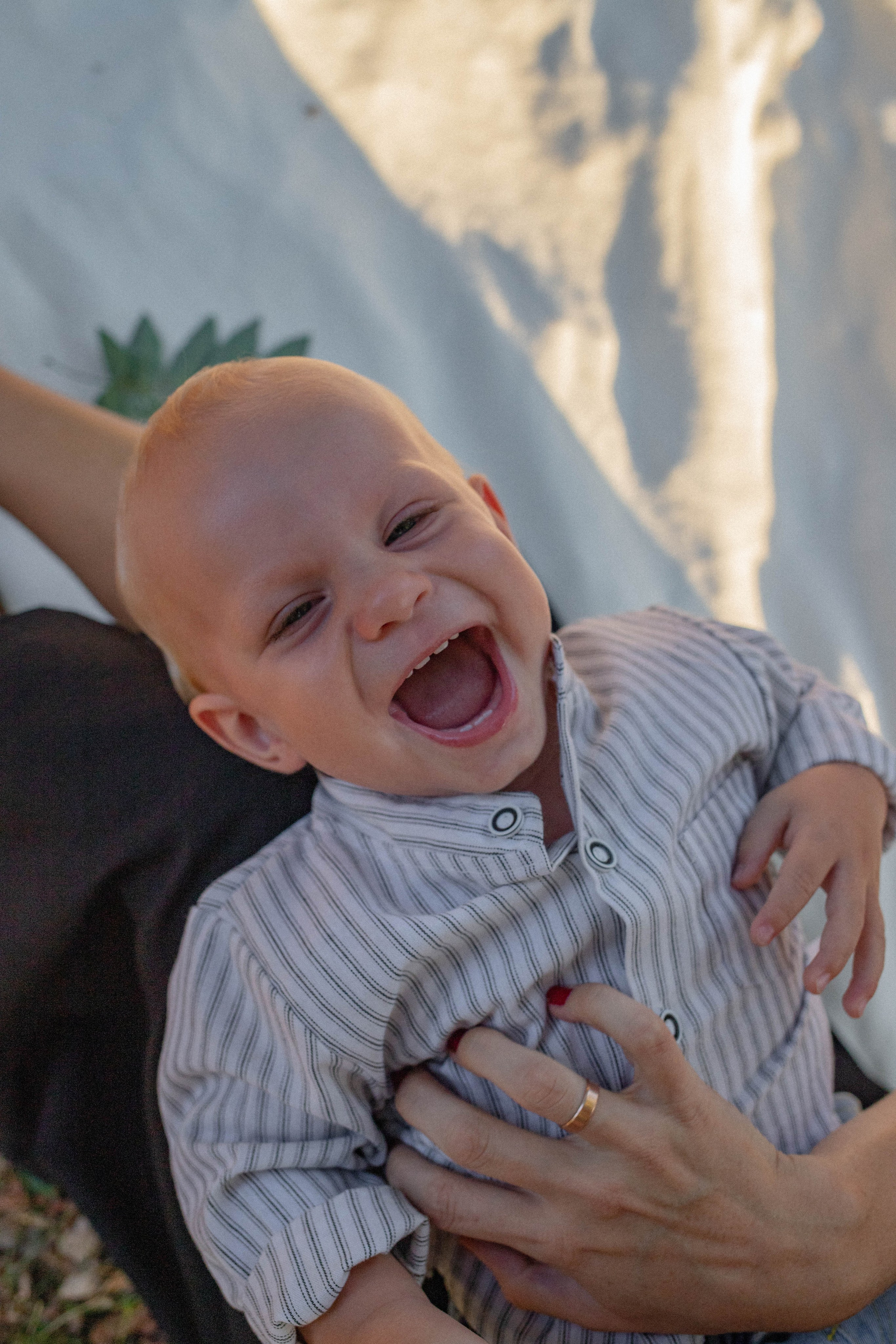 Лена & Миша. Фотограф Немазенко Ольга