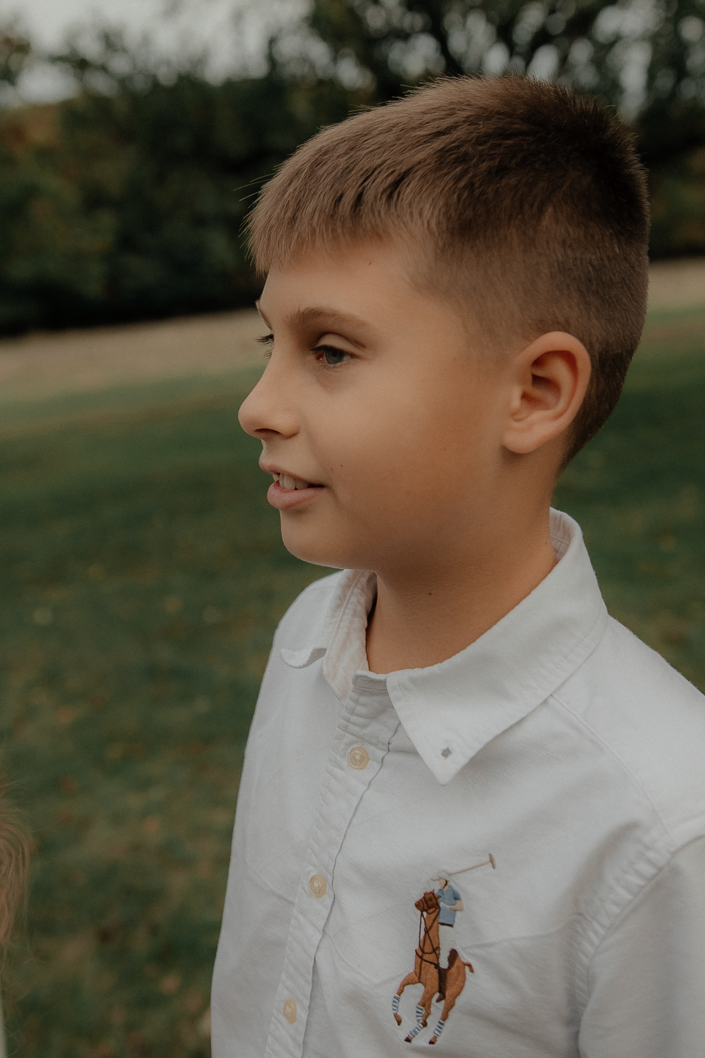 Условия и стоимость