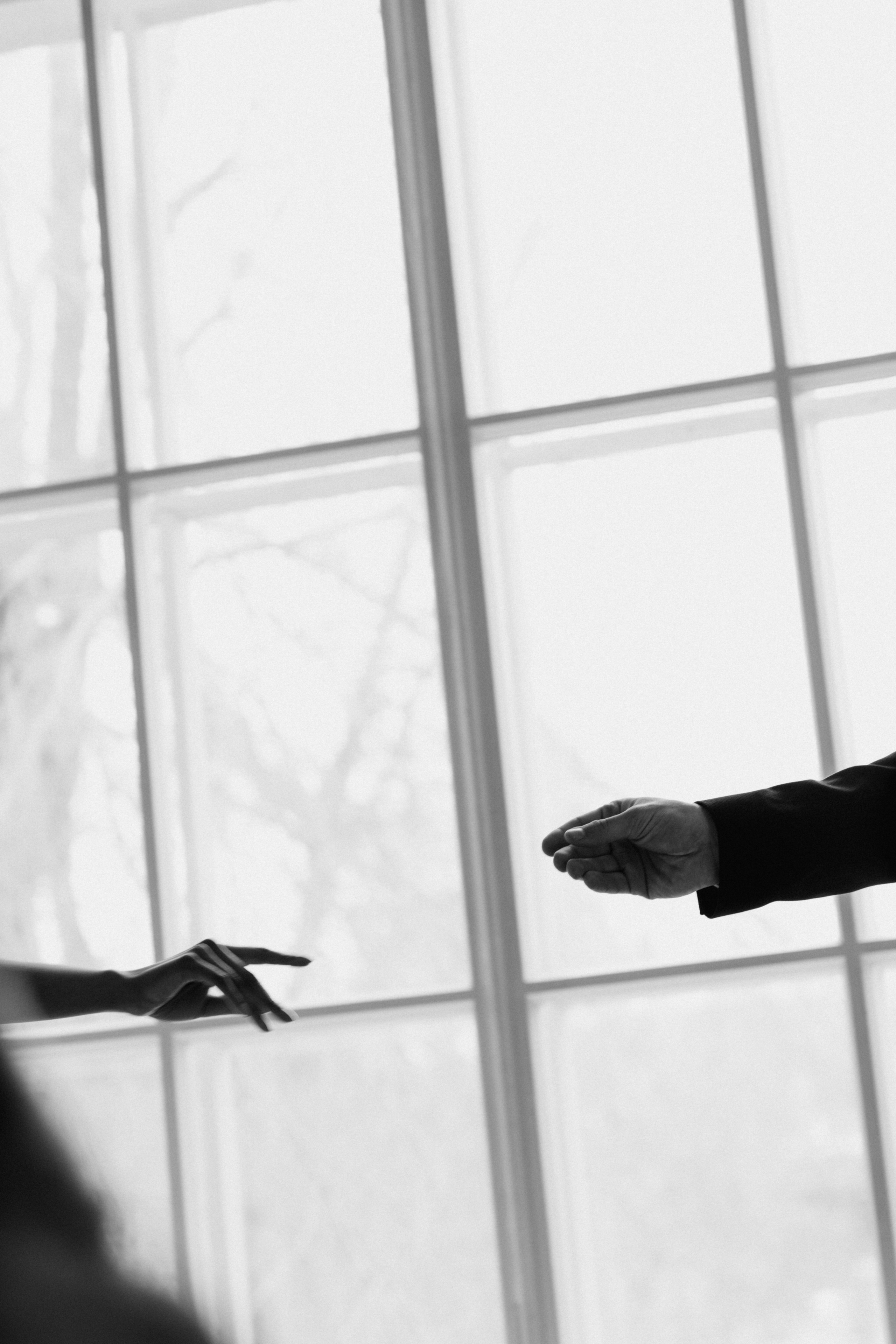 Антон | Синтия. Семейный фотограф Оля Гладченко