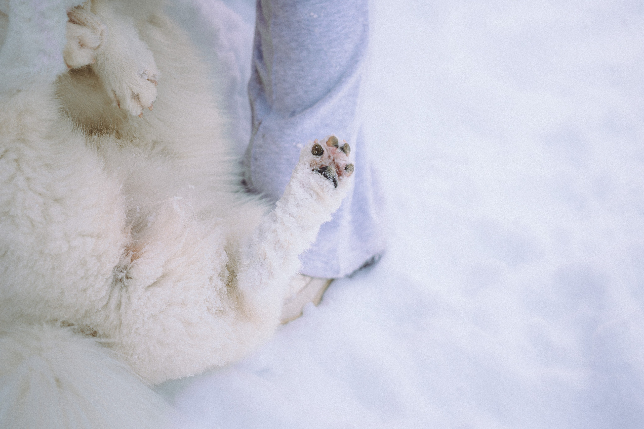 Мария и Мася