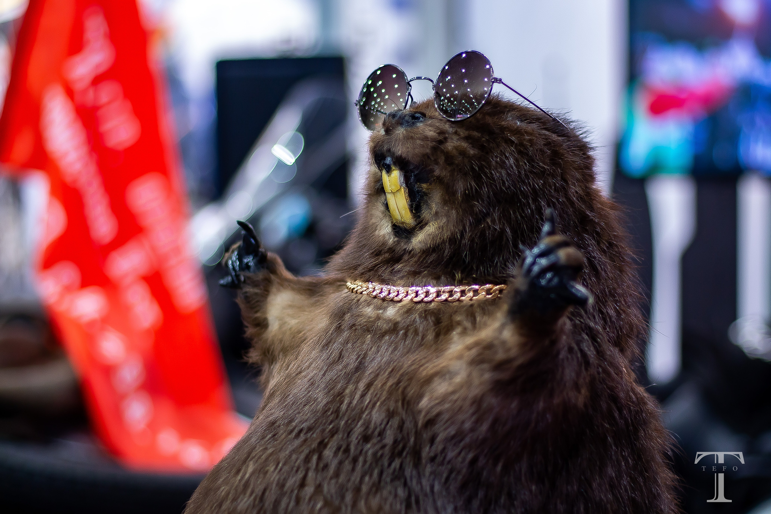 МотоВесна 2025  — Дидух Тимофей. Фотограф • Орехово-Зуево • Балашиха • TEFO