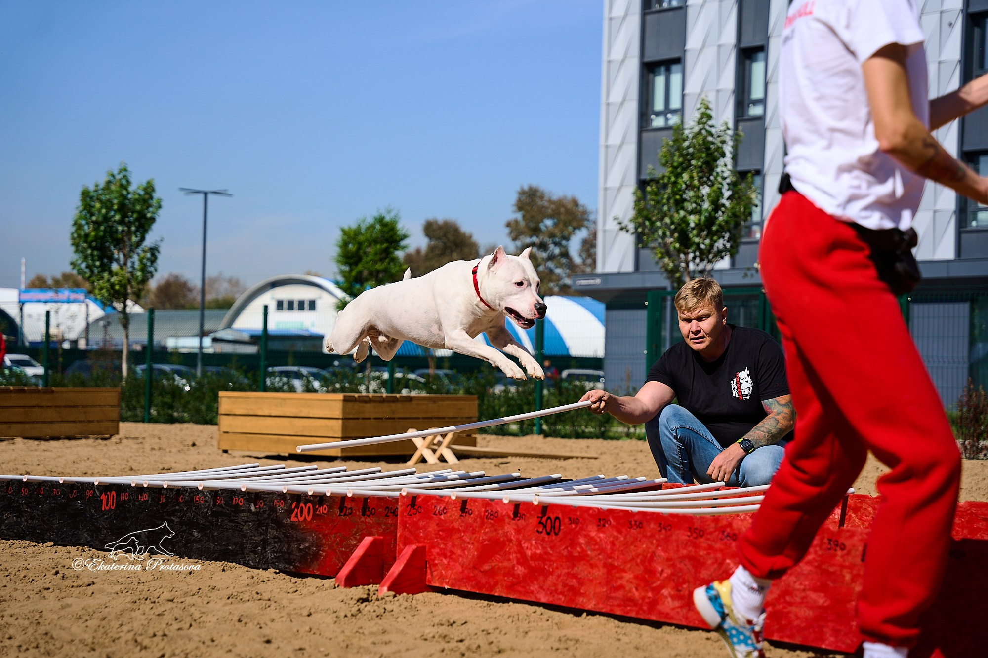 Питстафф многоборье. Фотограф-анималист в Иркутске