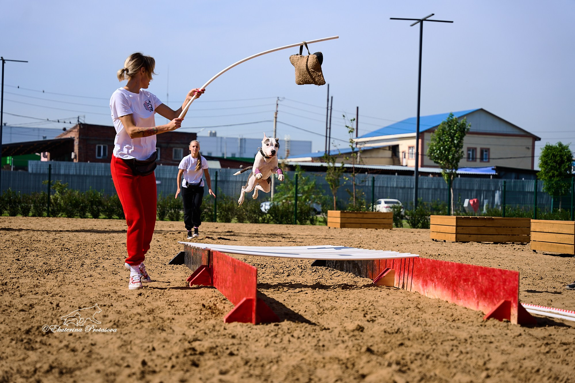 Питстафф многоборье. Фотограф-анималист в Иркутске