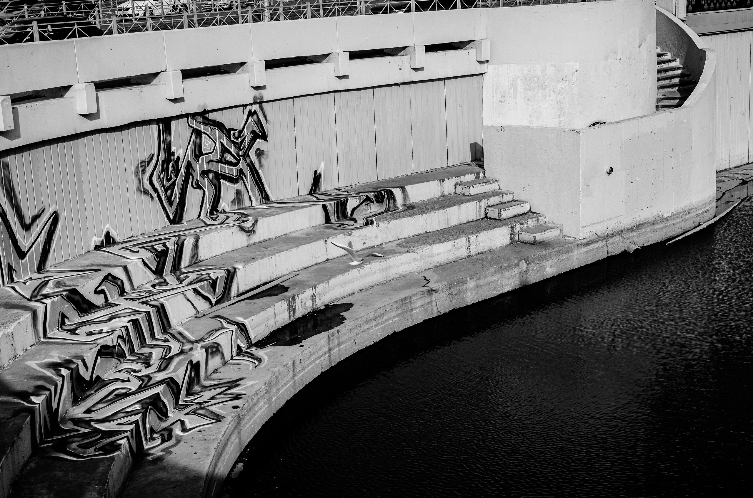 Случайные моменты. Бжицких Виталий — фотограф г. Ульяновск