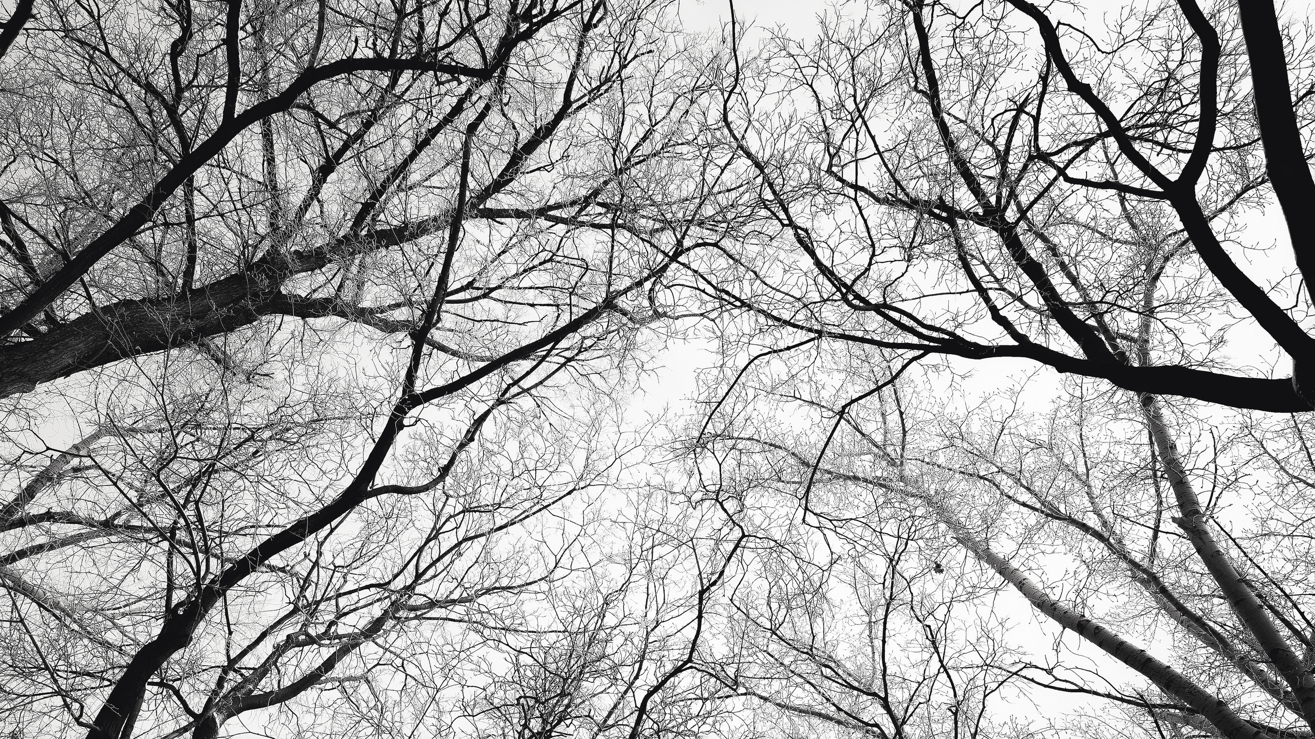 Случайные моменты. Бжицких Виталий — фотограф г. Ульяновск