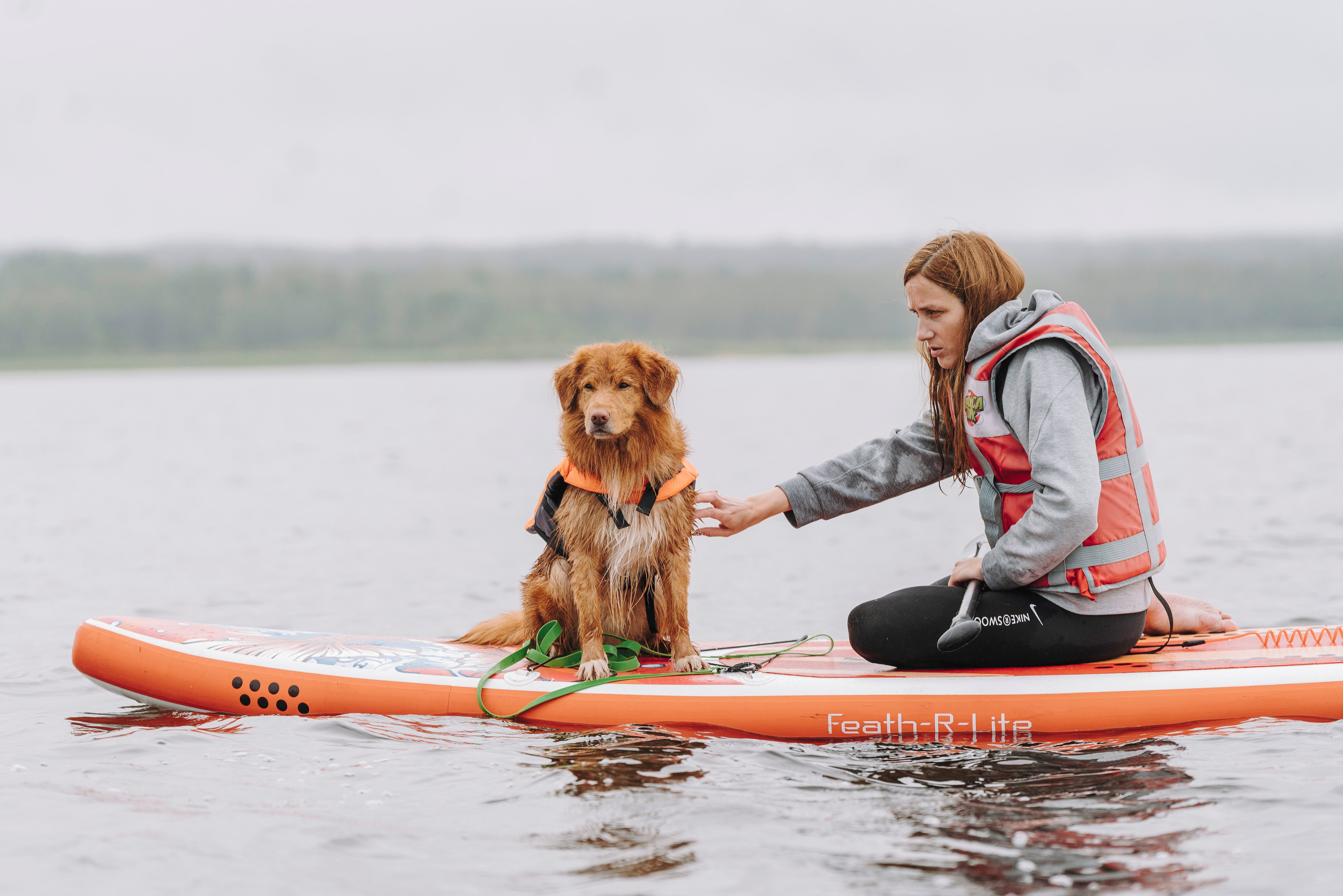 Катание на сапах с собаками. Фотограф анималист в Спб недорого Олеся Майорова