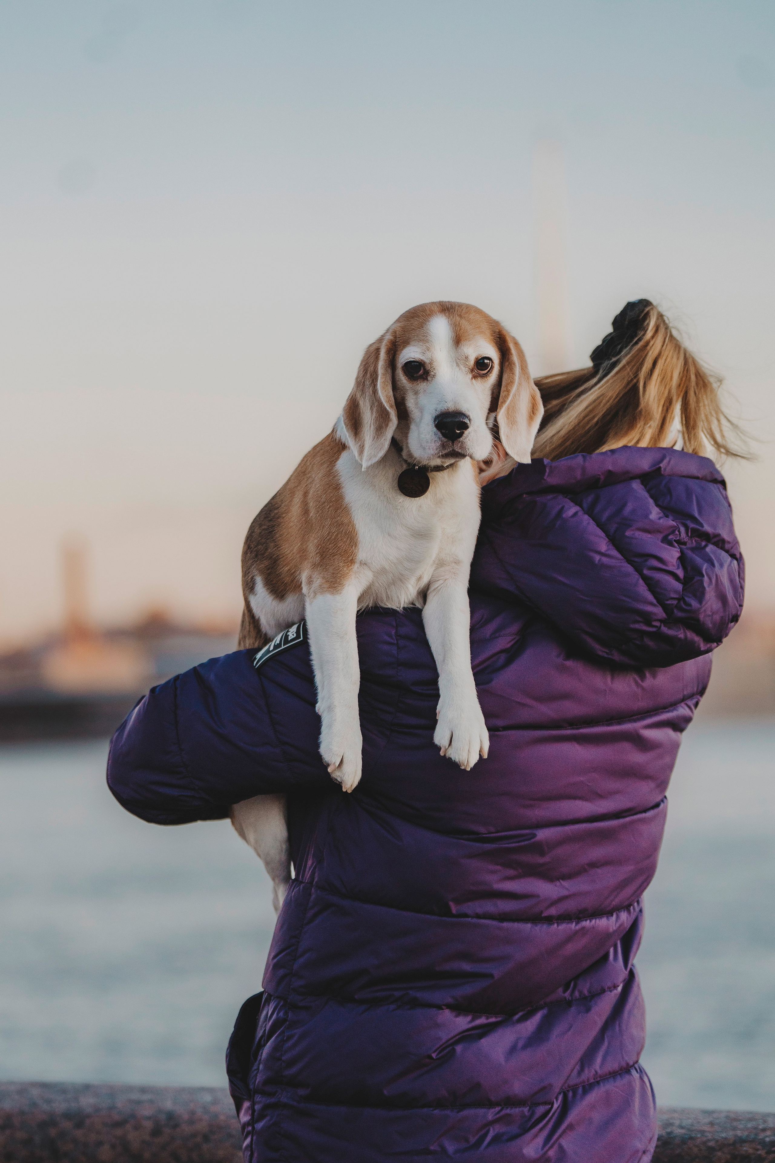 Ксения и Гаечка. Фотограф анималист в Спб недорого Олеся Майорова
