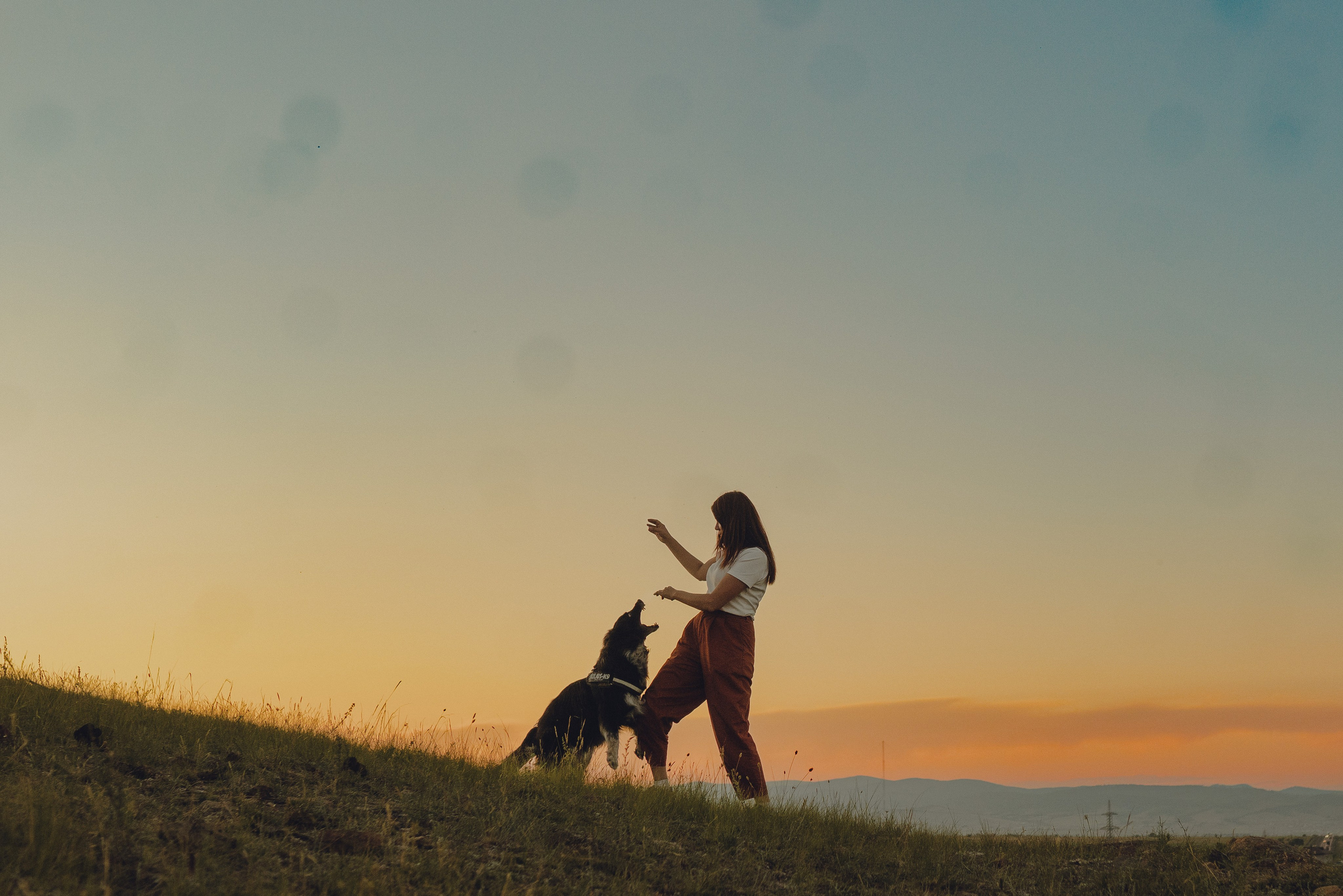 Настя и Умка. Фотограф анималист в Спб недорого Олеся Майорова