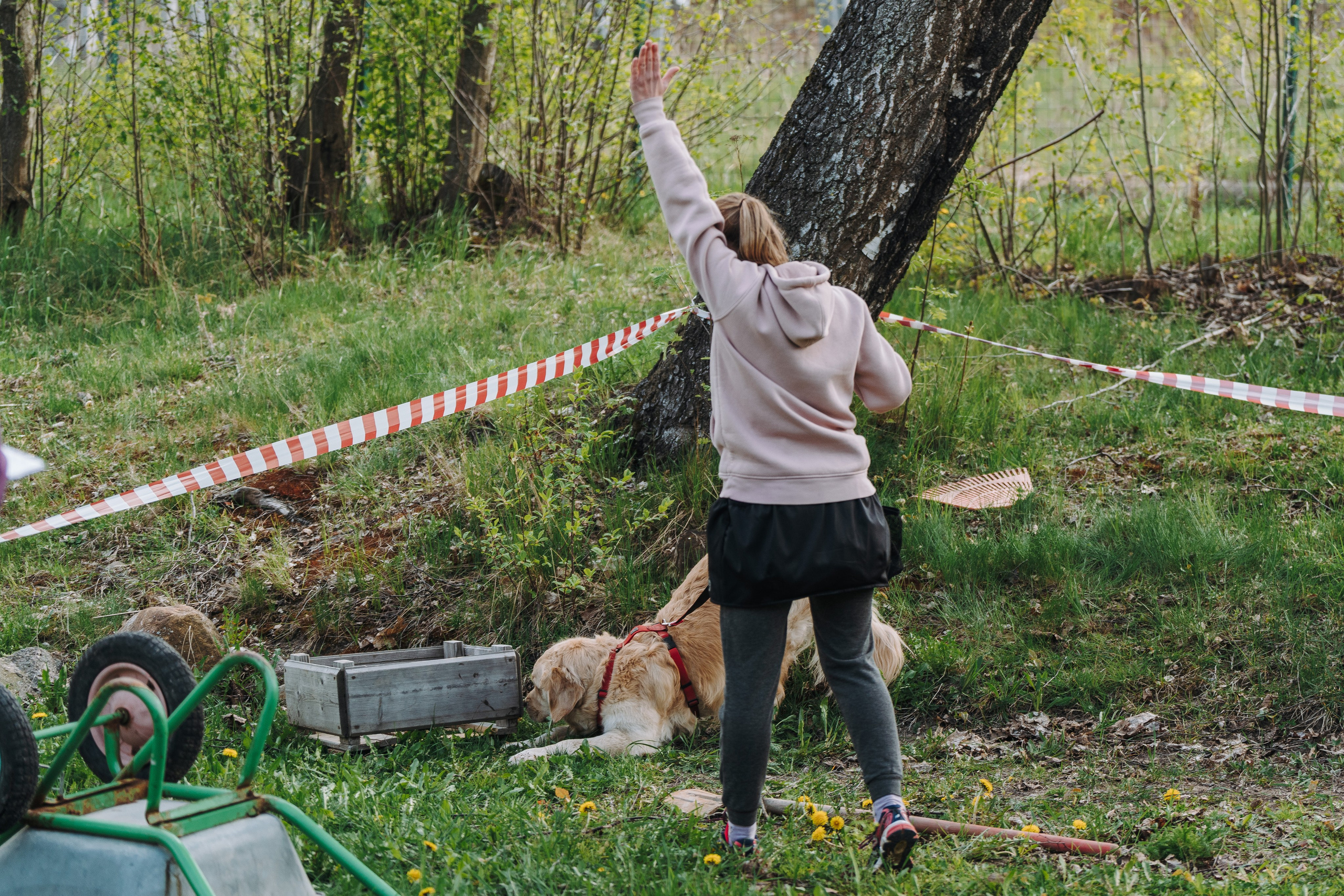 Соревнования по ноузворку в Лосево. Фотограф анималист в Спб недорого Олеся Майорова