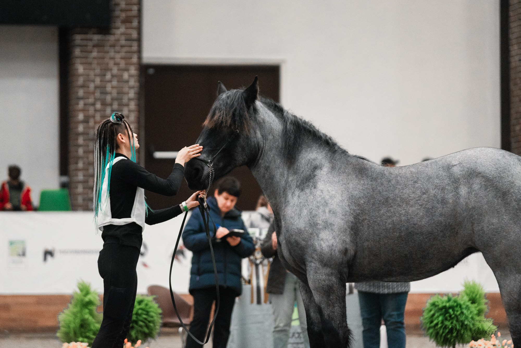 8-я международная выставка Конная Россия. Конный фотограф Куракина Дарья • Фотосессии с лошадьми