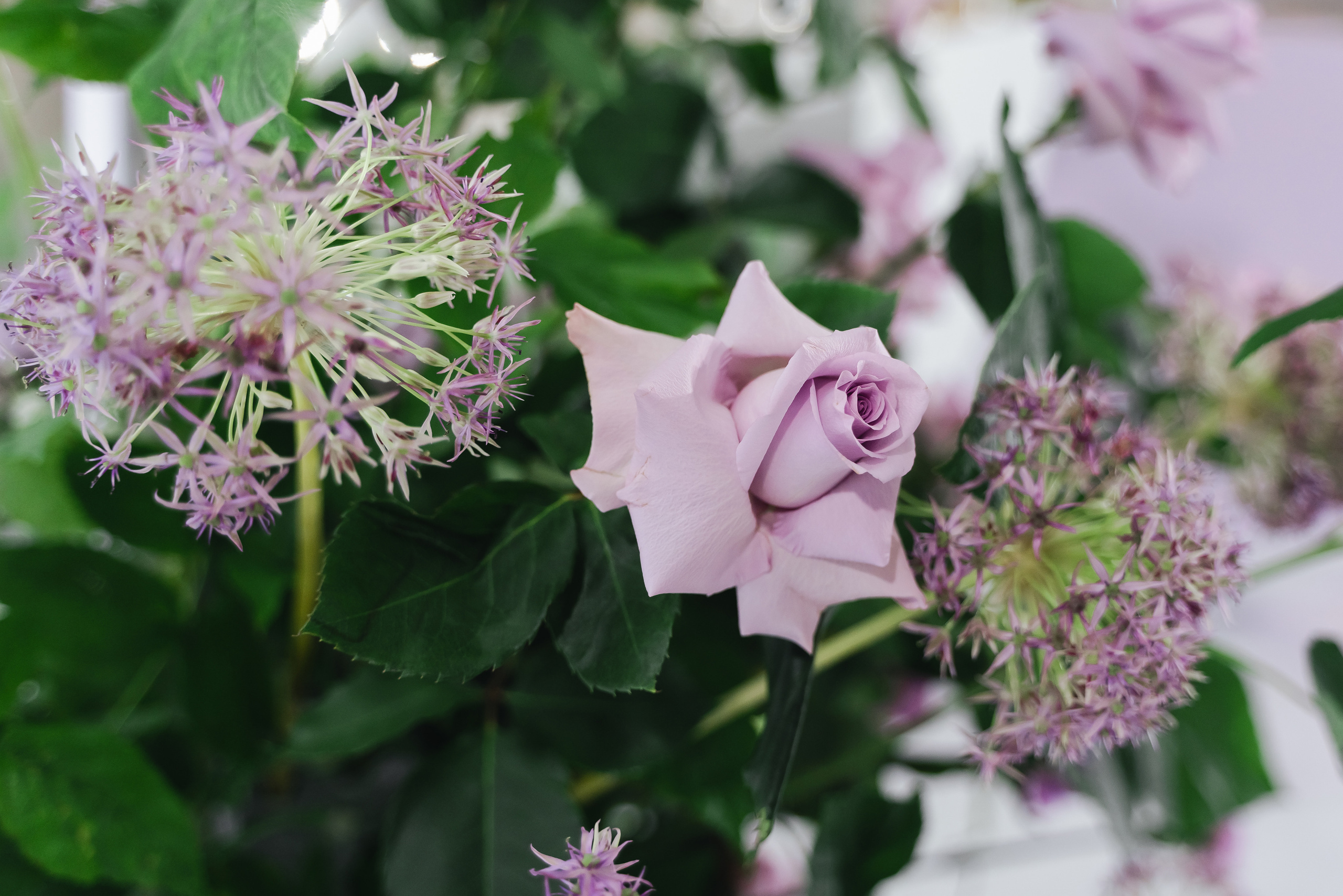 Маис и Мариам. Свадебный фотограф Красноярск Вязьминова Мария