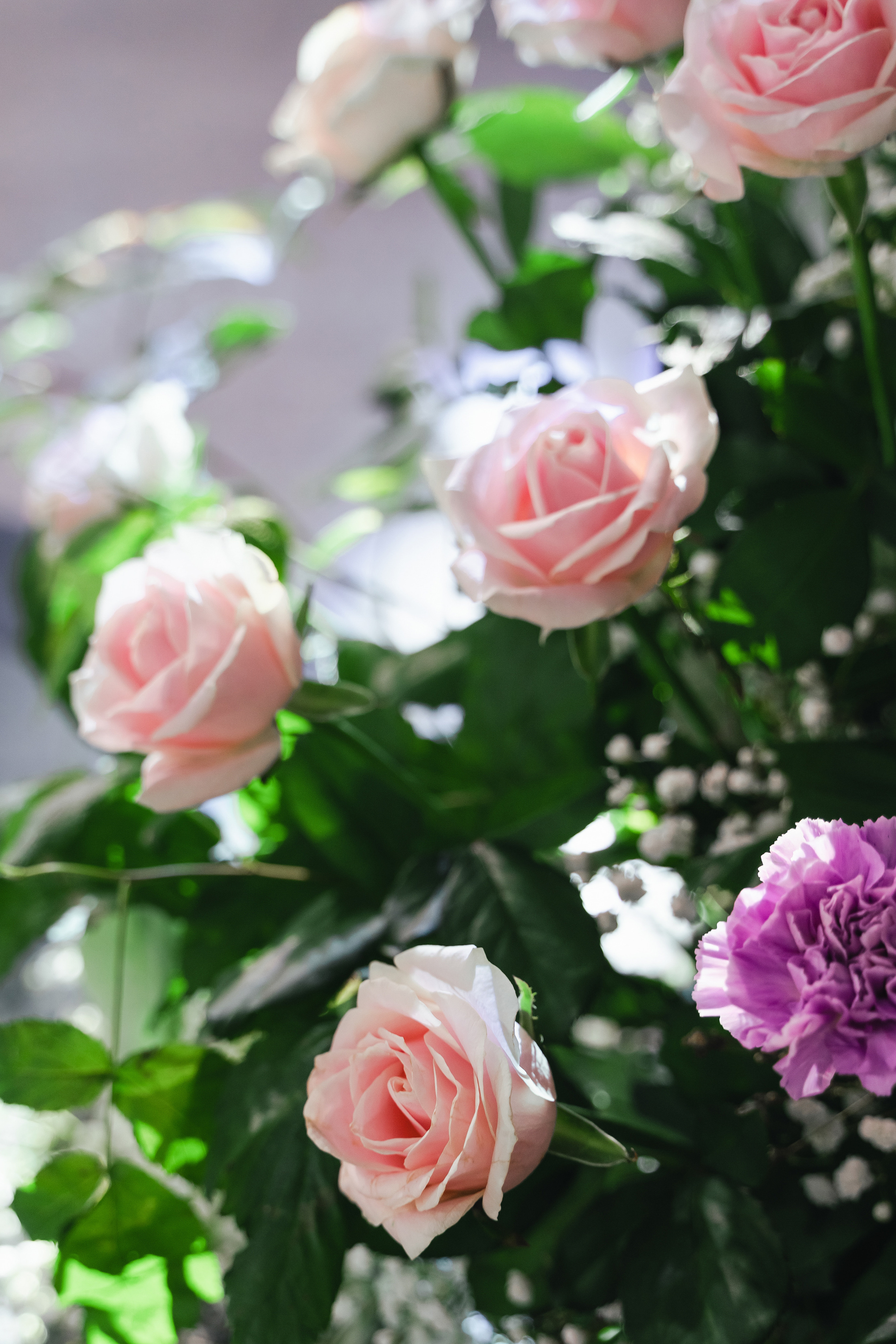 Маис и Мариам. Свадебный фотограф Красноярск Вязьминова Мария