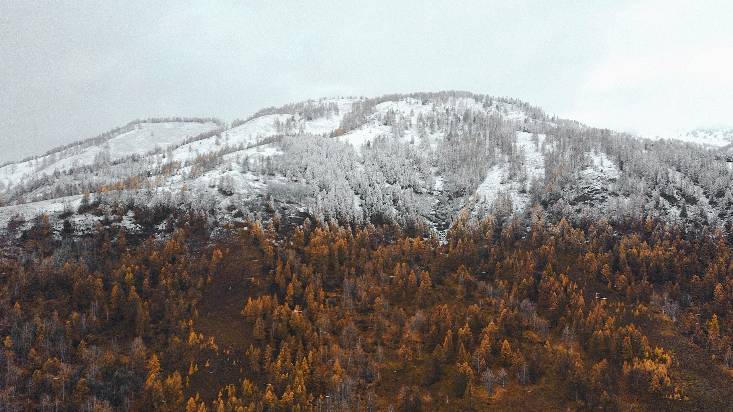 Галерея моих работ. AISA Foto