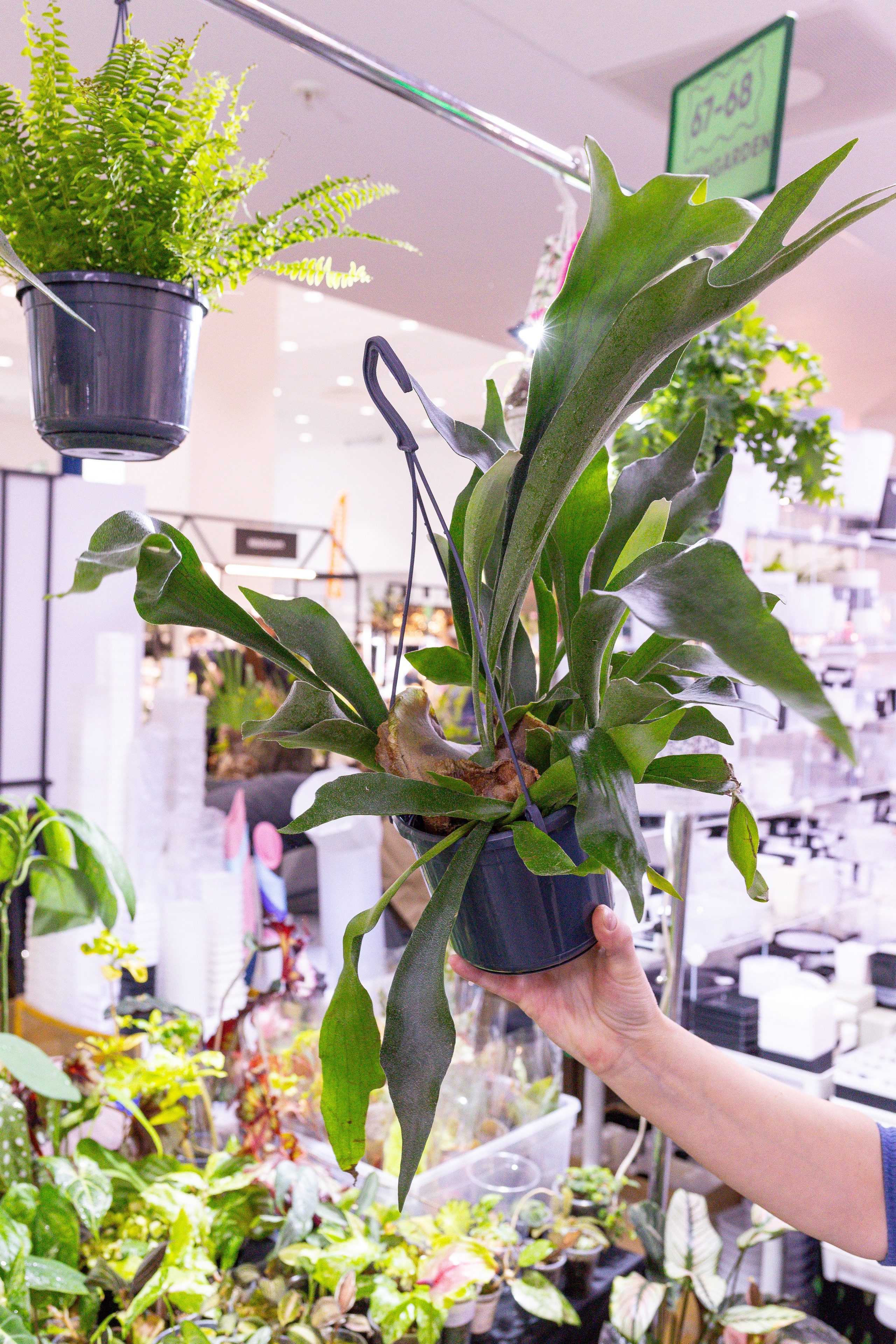 Монстериум 11–12 октября. Александра Куликова фотограф, Москва