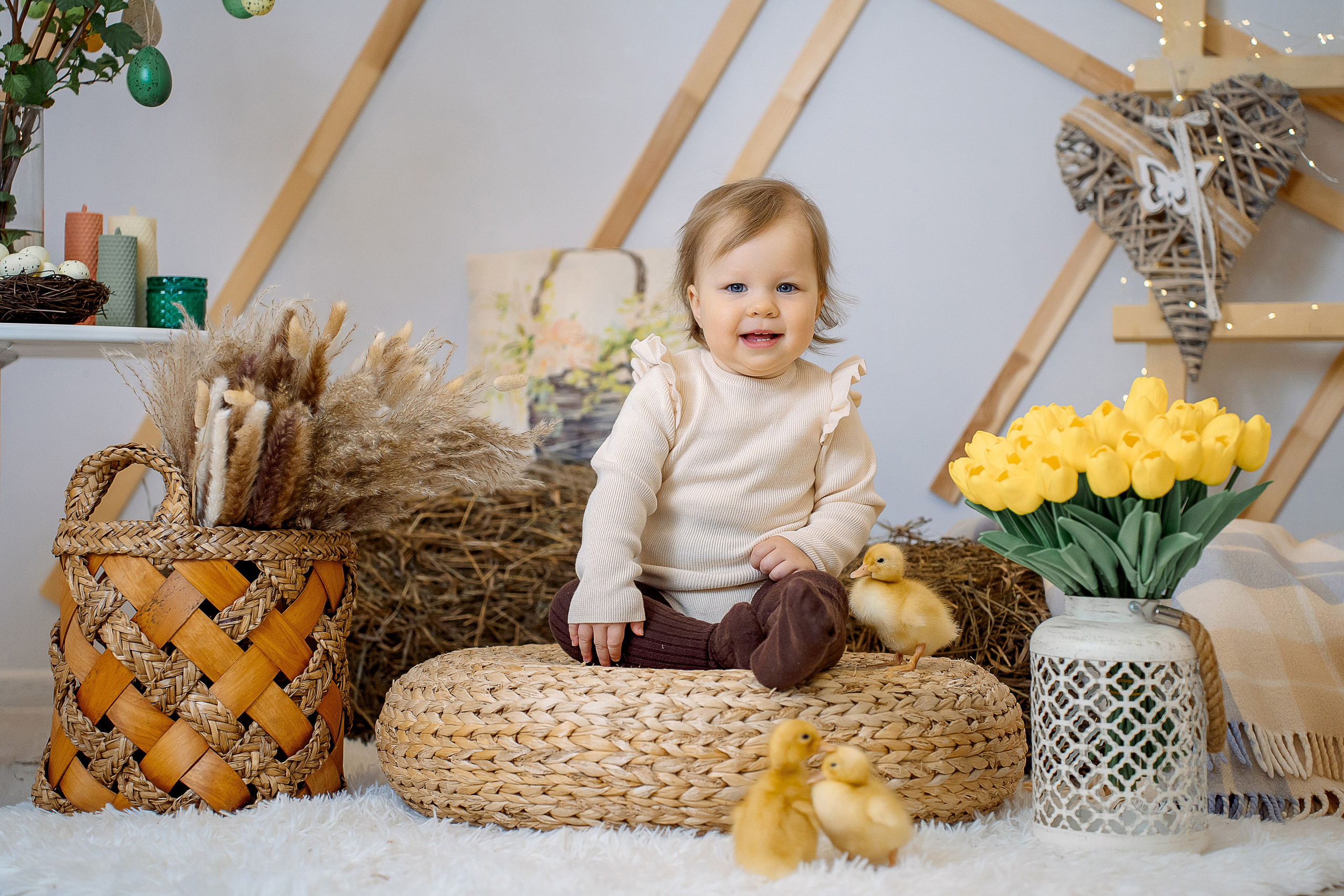 Утята. Фотограф Казакова Анастасия