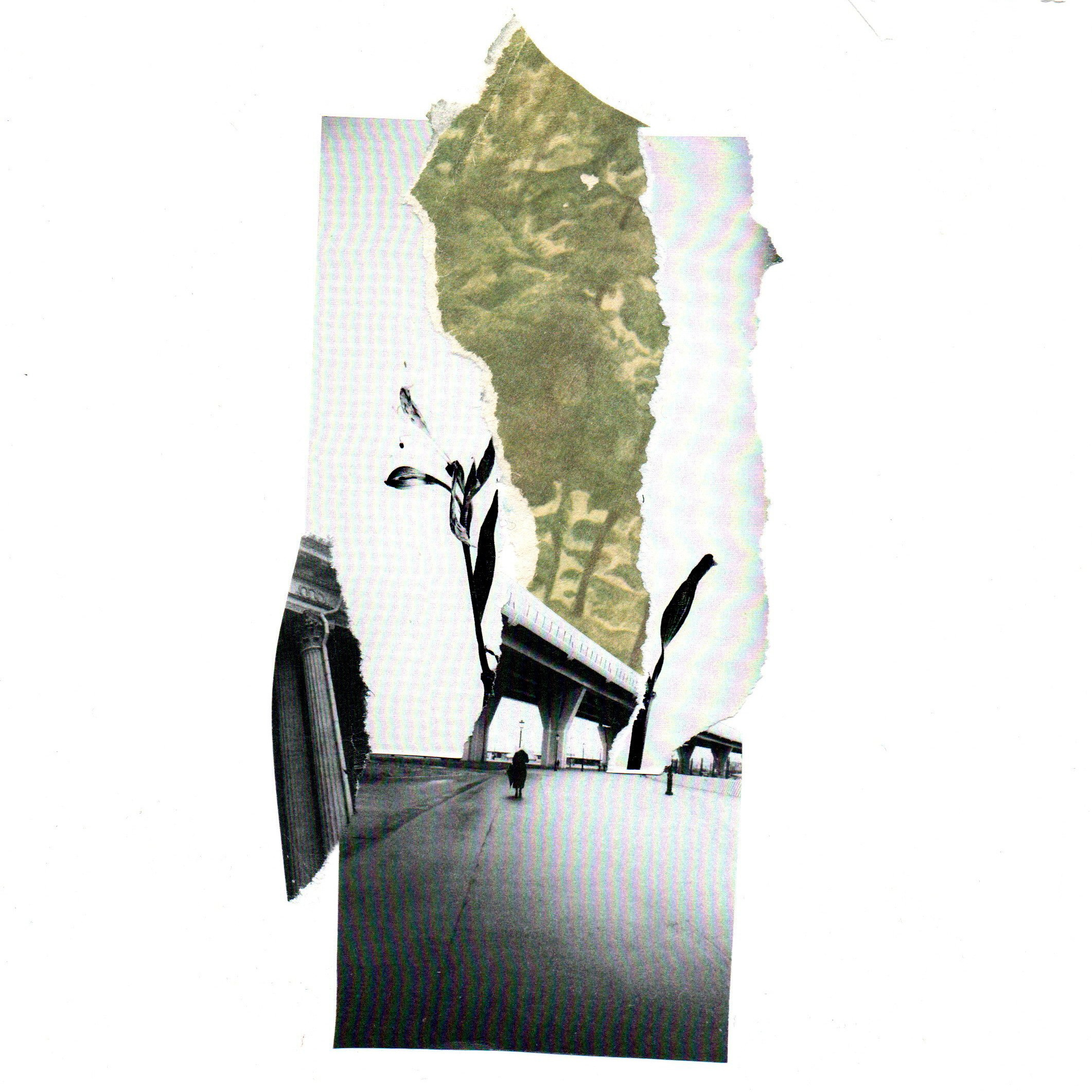 Коллажный дневник. Фотограф Анна Кирнос