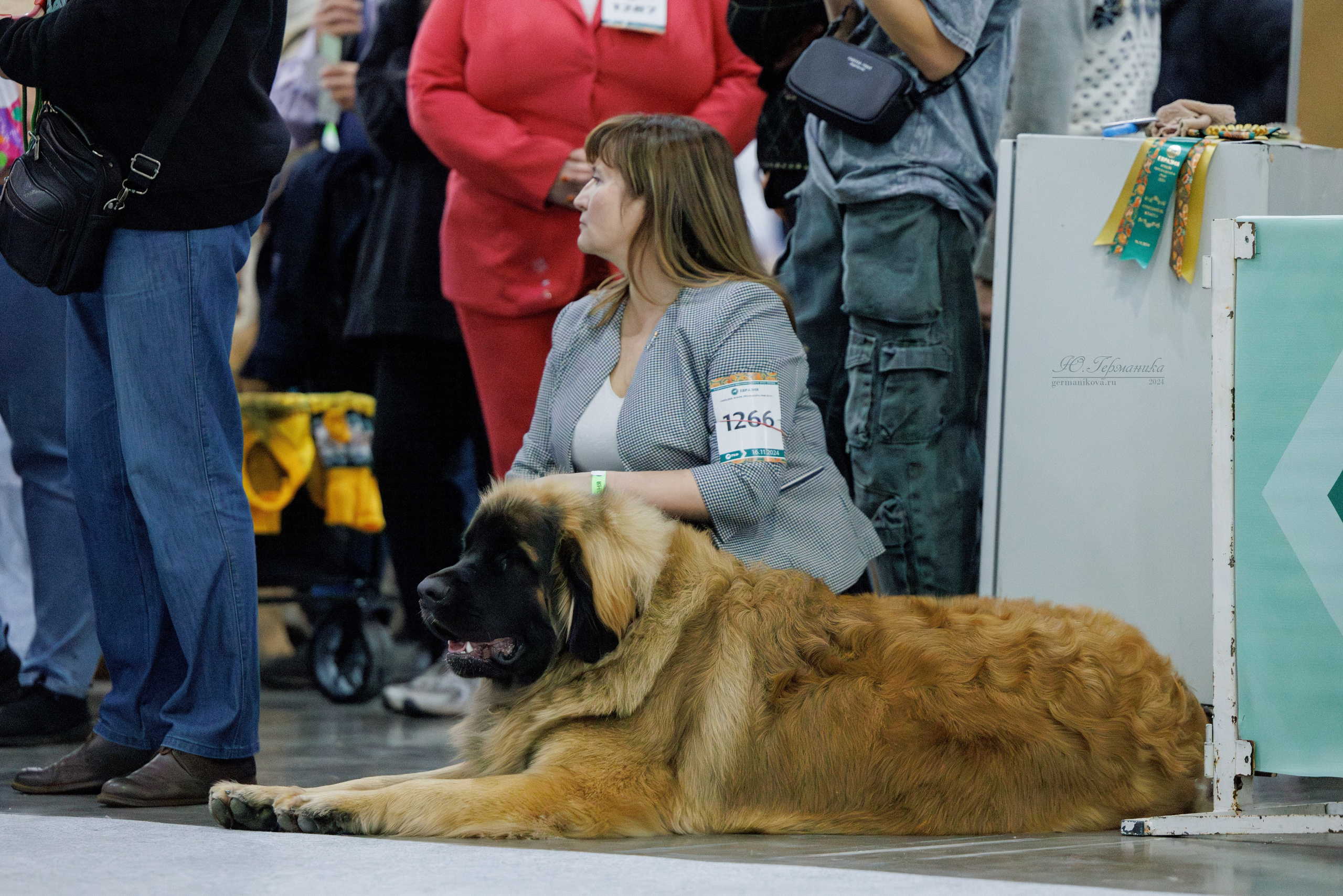 Евразия 16-17.11.2024. Фотограф-анималист Юлия Германика