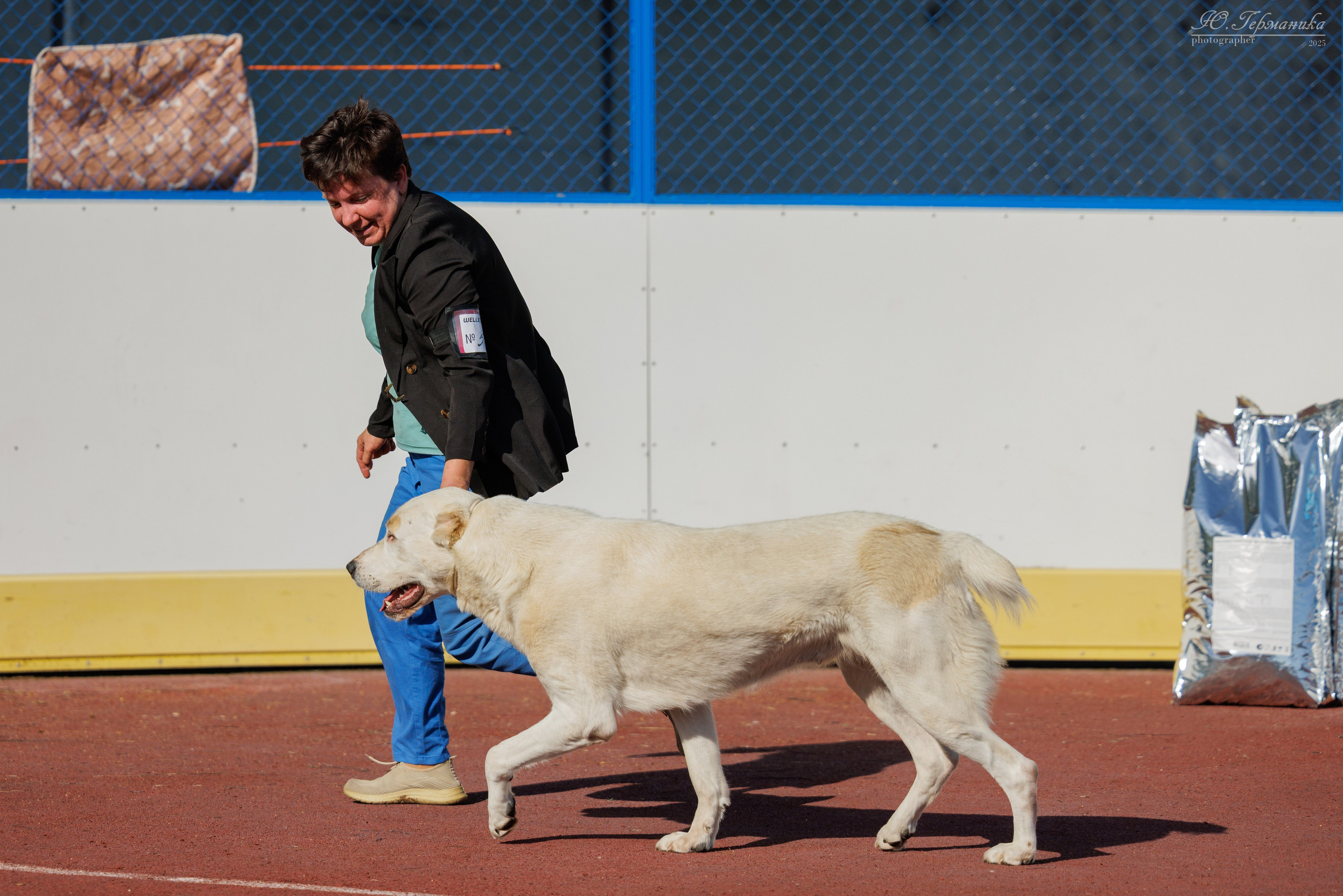 Коломна 30.08.2025. Фотограф-анималист Юлия Германика
