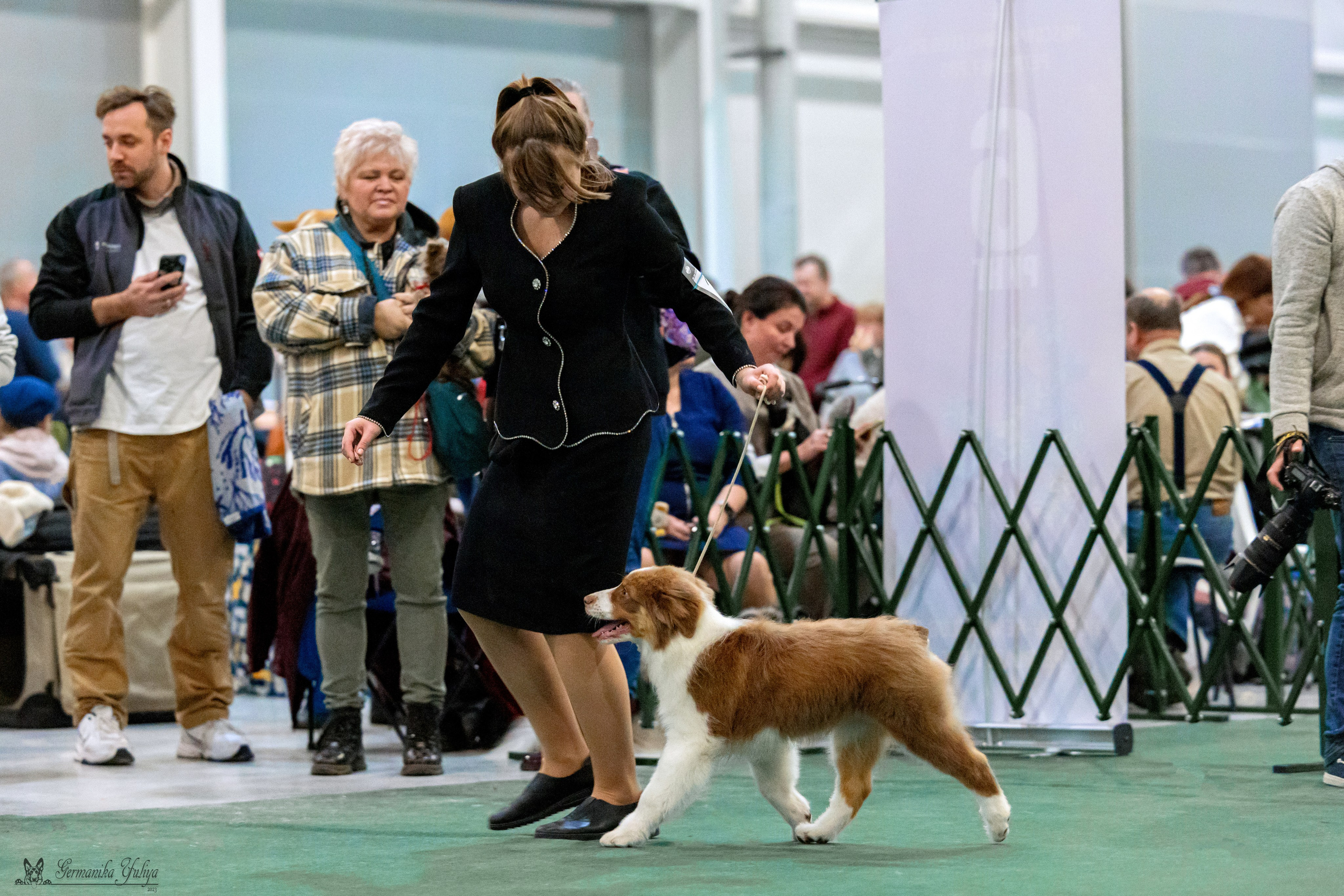 Сфера 29.10,Крокус 4.11,Сфера 12.11.2023. Фотограф-анималист Юлия Германика