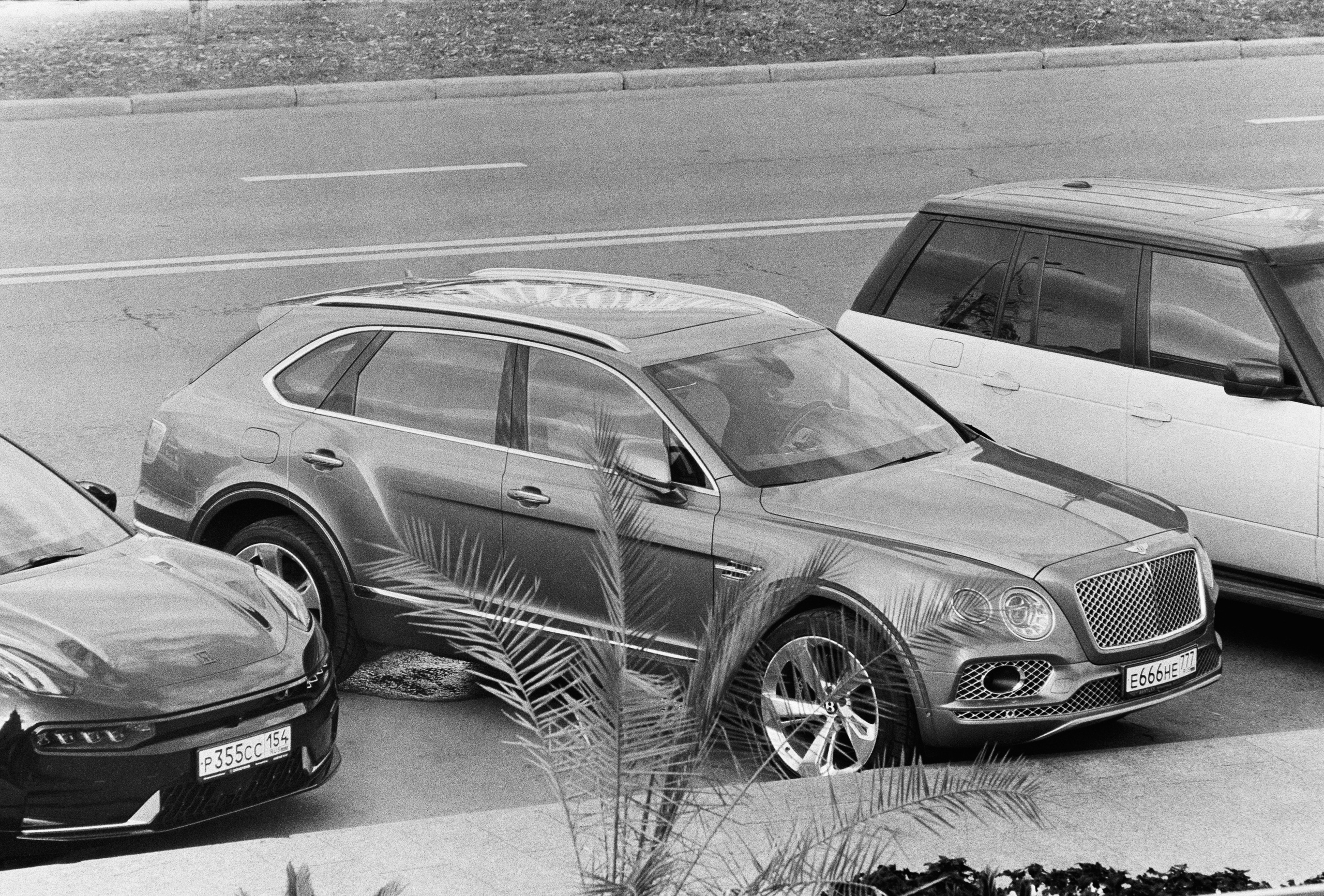 Роскошь. Сергей Новиков Фотограф Москва