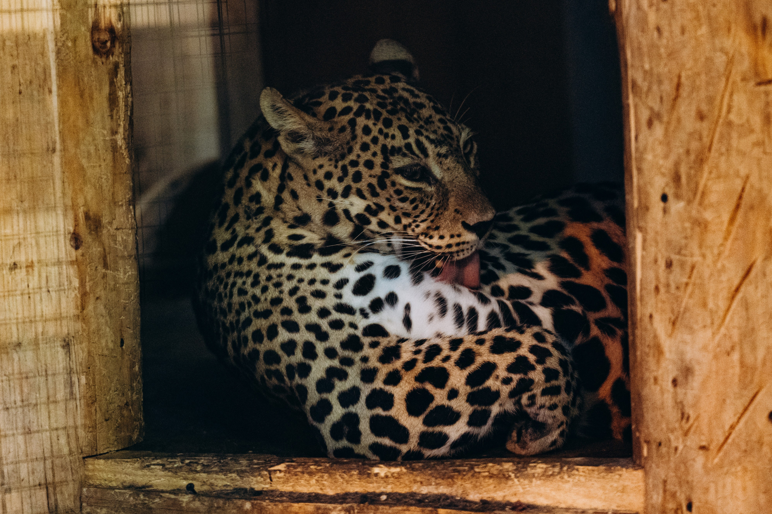 СЕВЕР. Event фотограф Степанова Александра