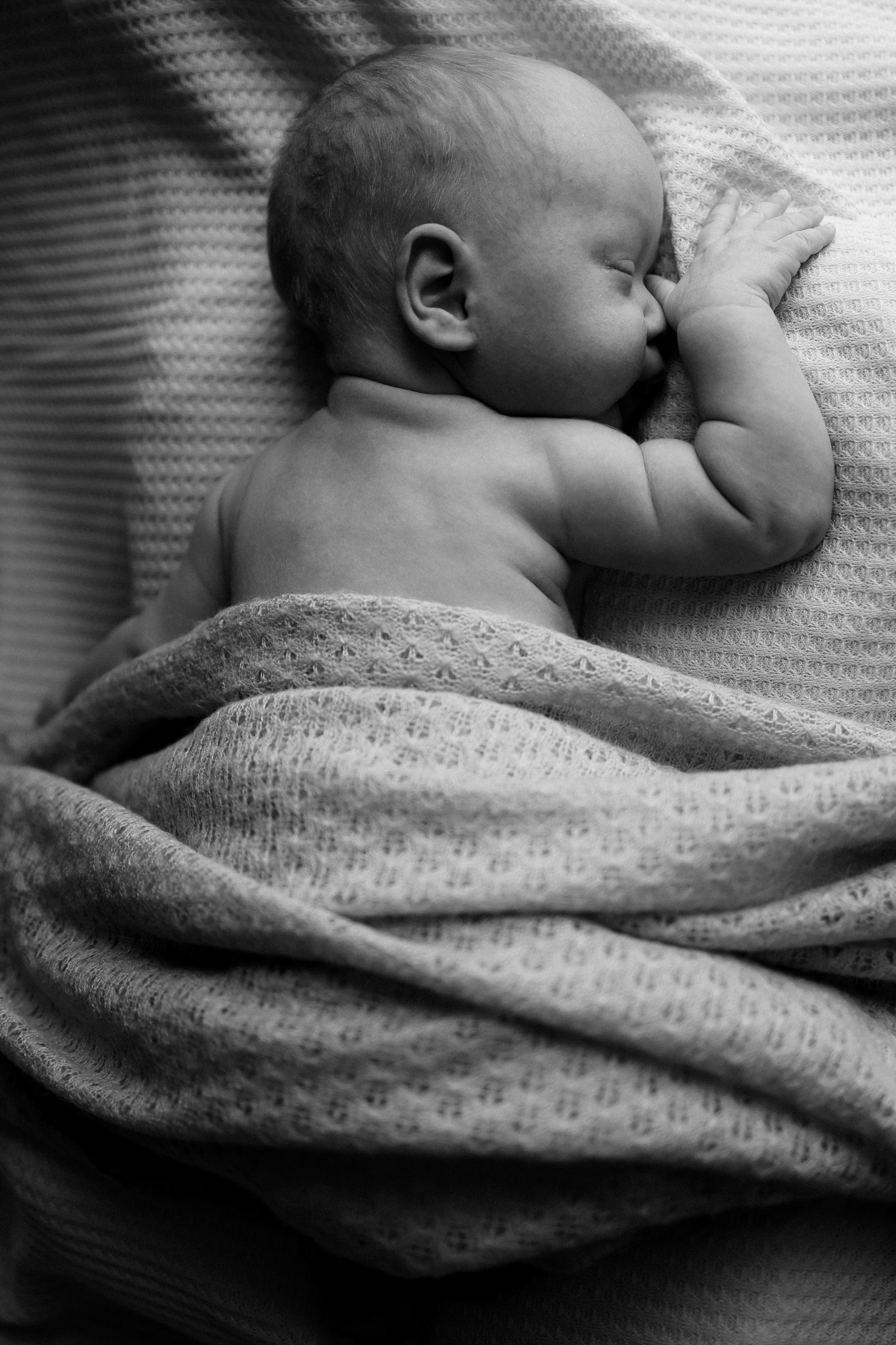 Федор. Фотограф новорожденных в Москве и Московской области Наталья Збиглей