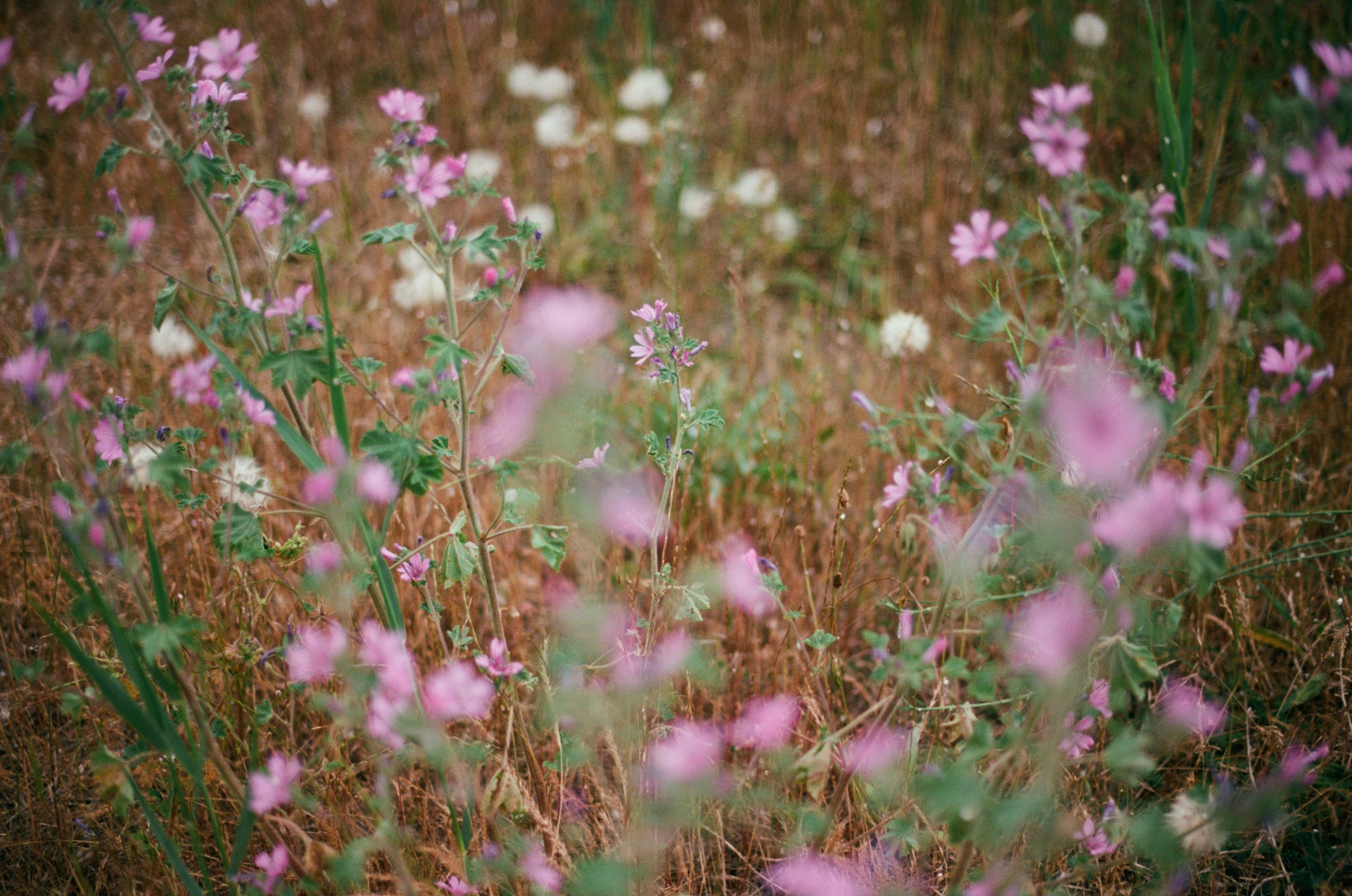 Silent running // ukraine, crimea IV. EVER EXPOSED