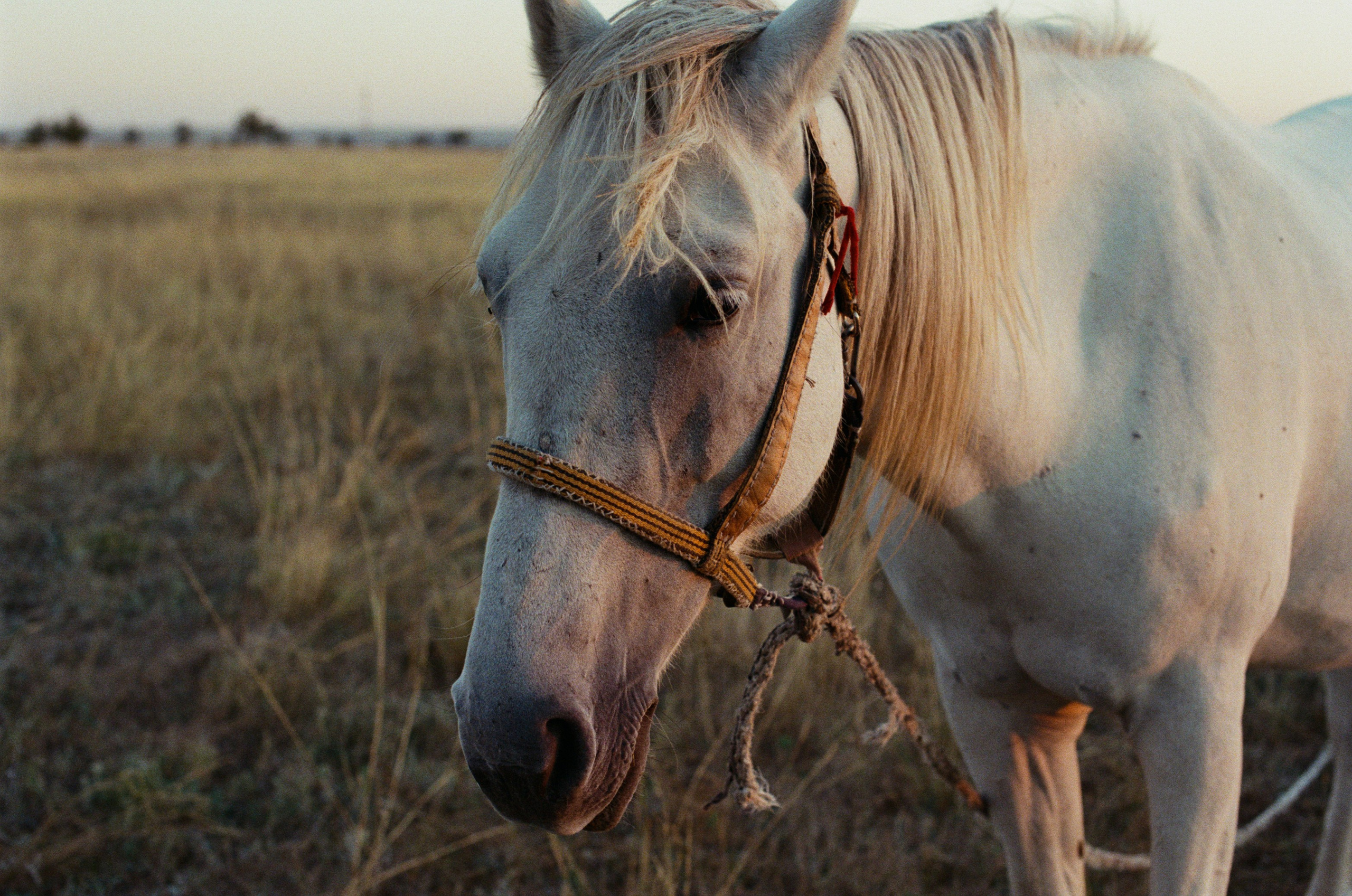 Your guardian angel // ukraine, crimea. EVER EXPOSED