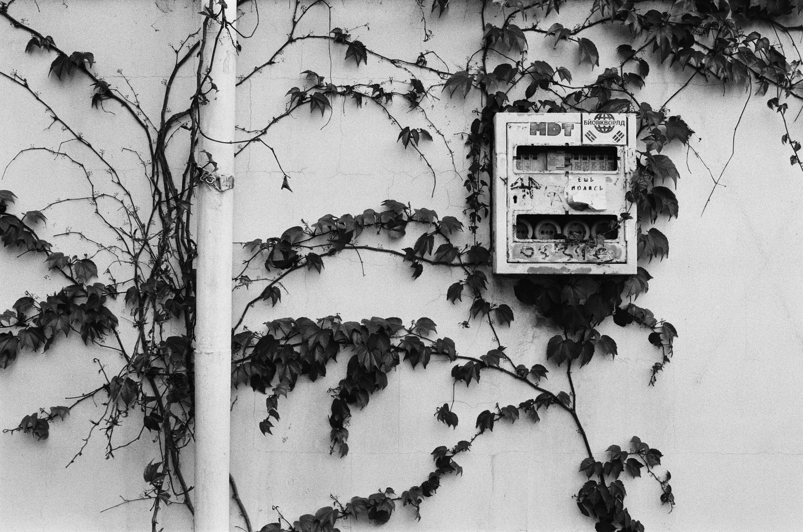 Oblomki chuvstv // ukraine, crimea III. EVER EXPOSED