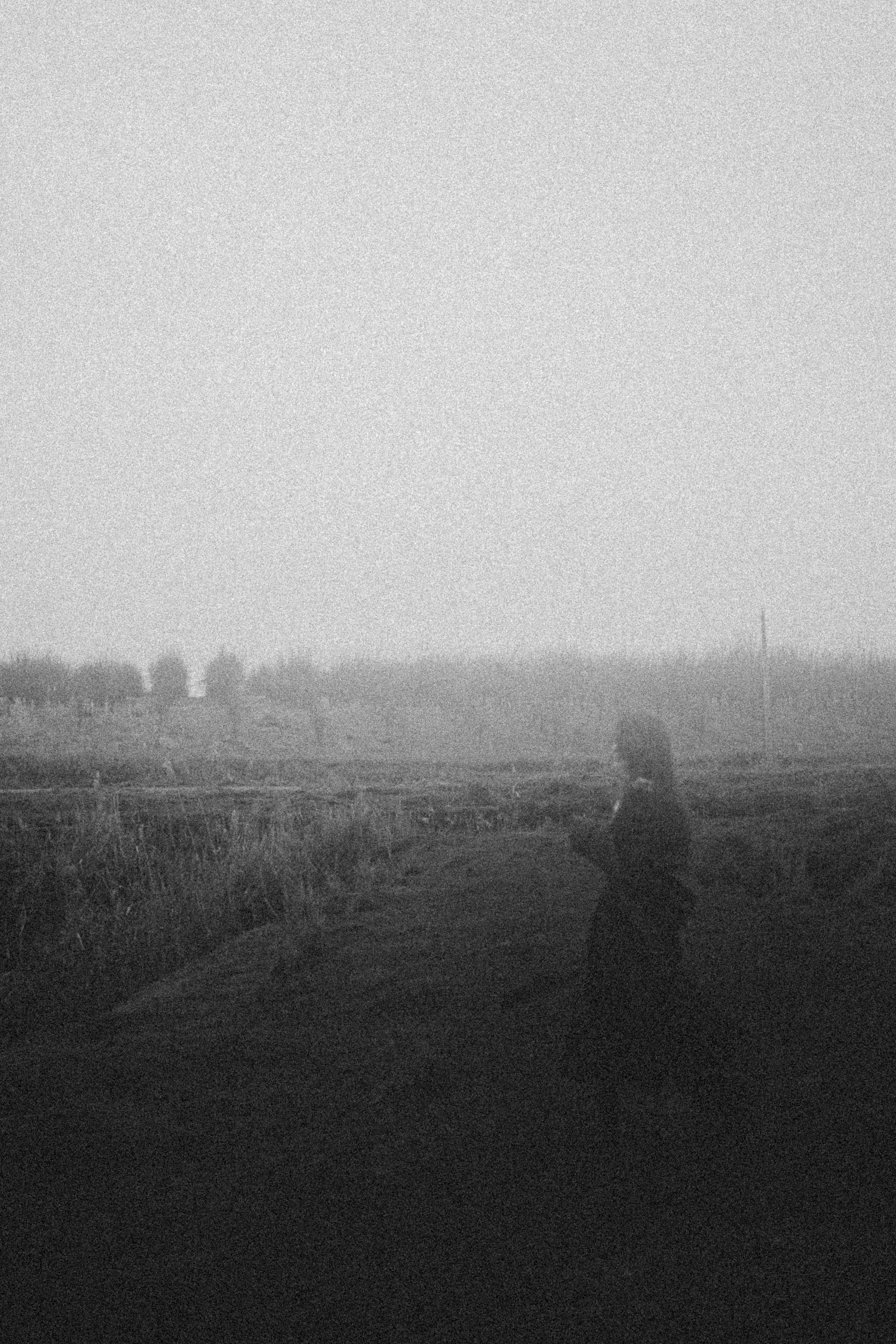 Рано. Alesya Gee Photographer Uzbekistan